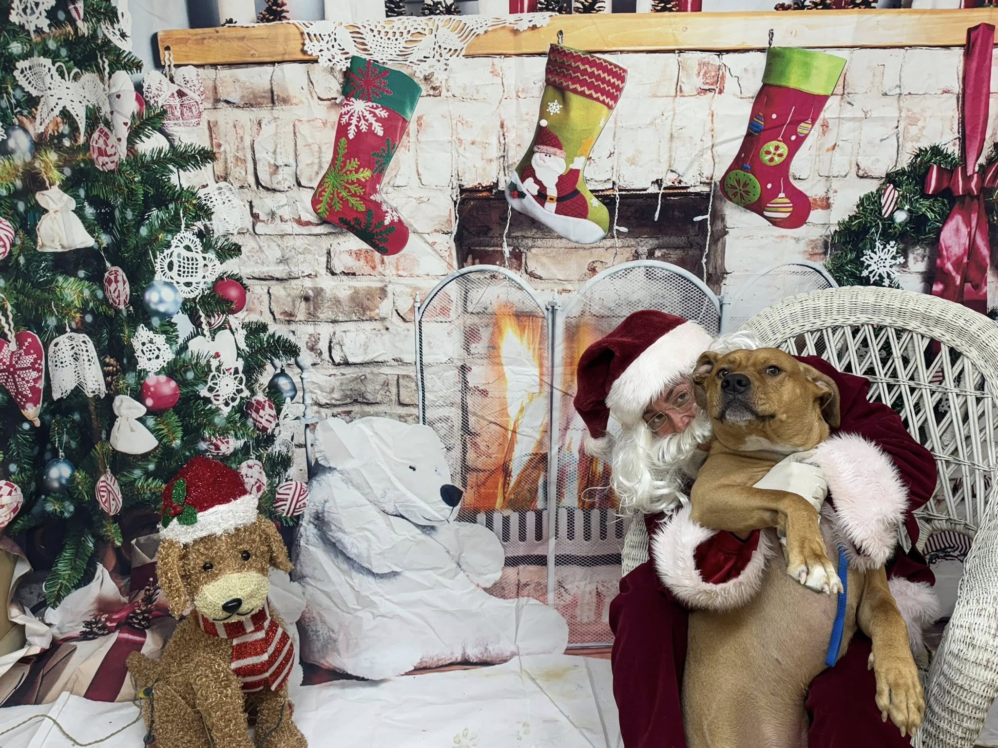 Musbro Kennels Ranch House Inc Orangeburg