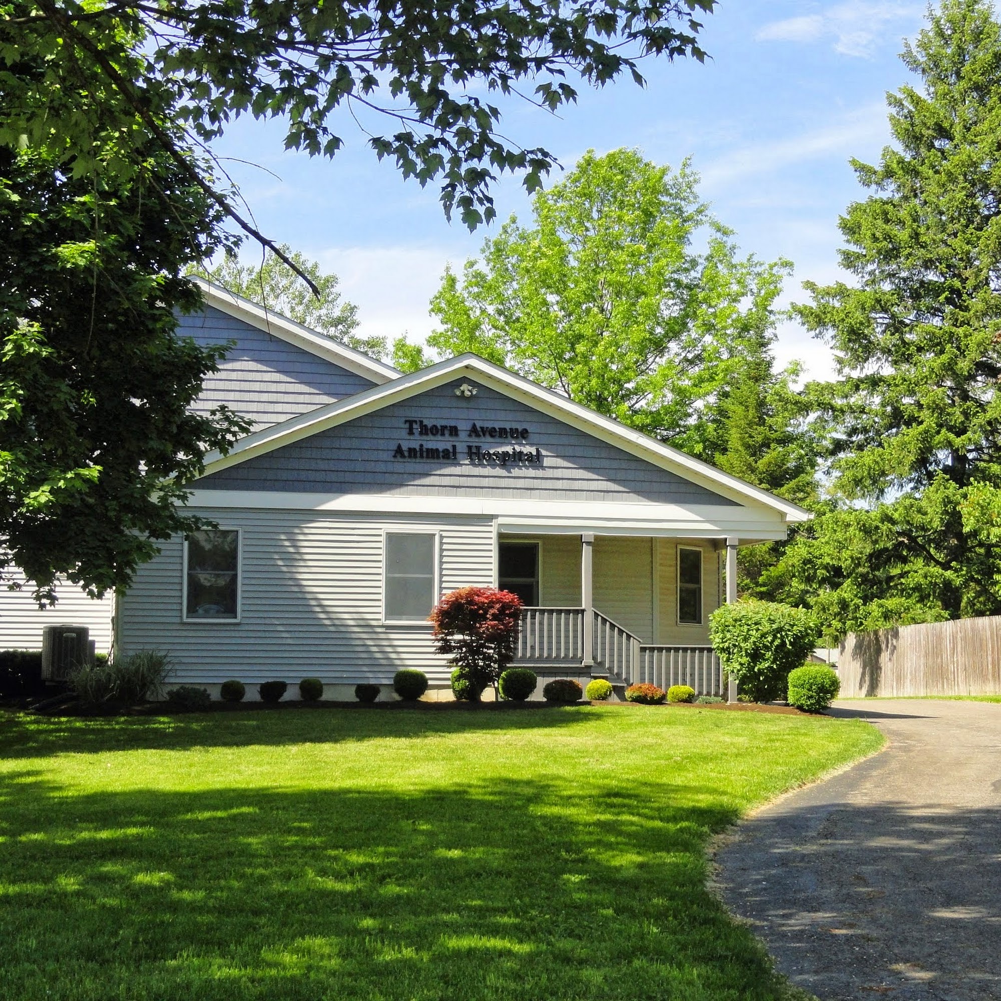 Thorn Avenue Animal Hospital Orchard Park