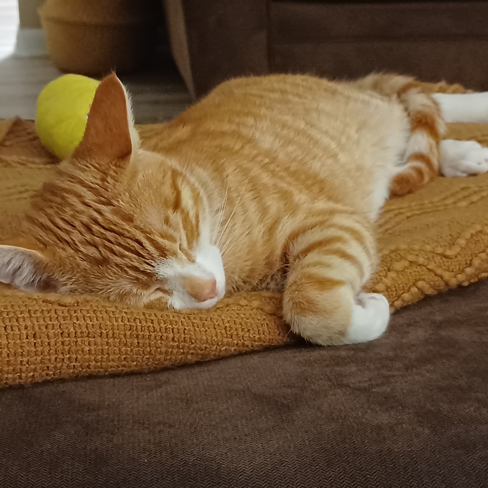 Critical & Emergency Care Orchard Park