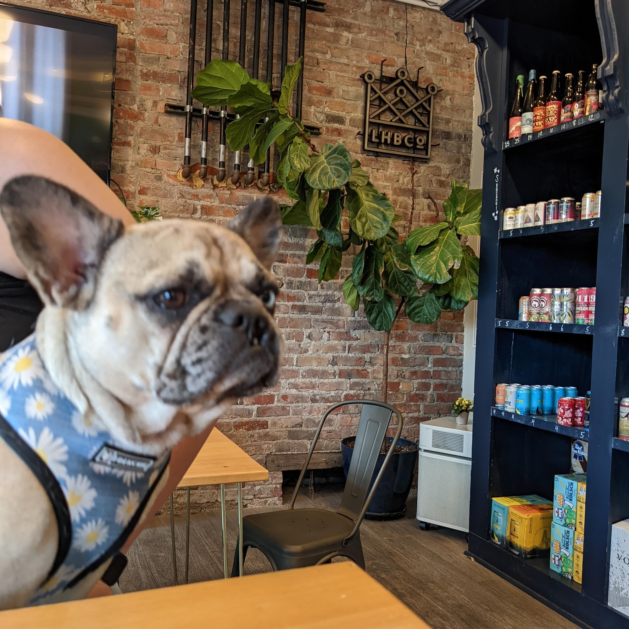 Fattey Beer Co. Orchard Park Orchard Park