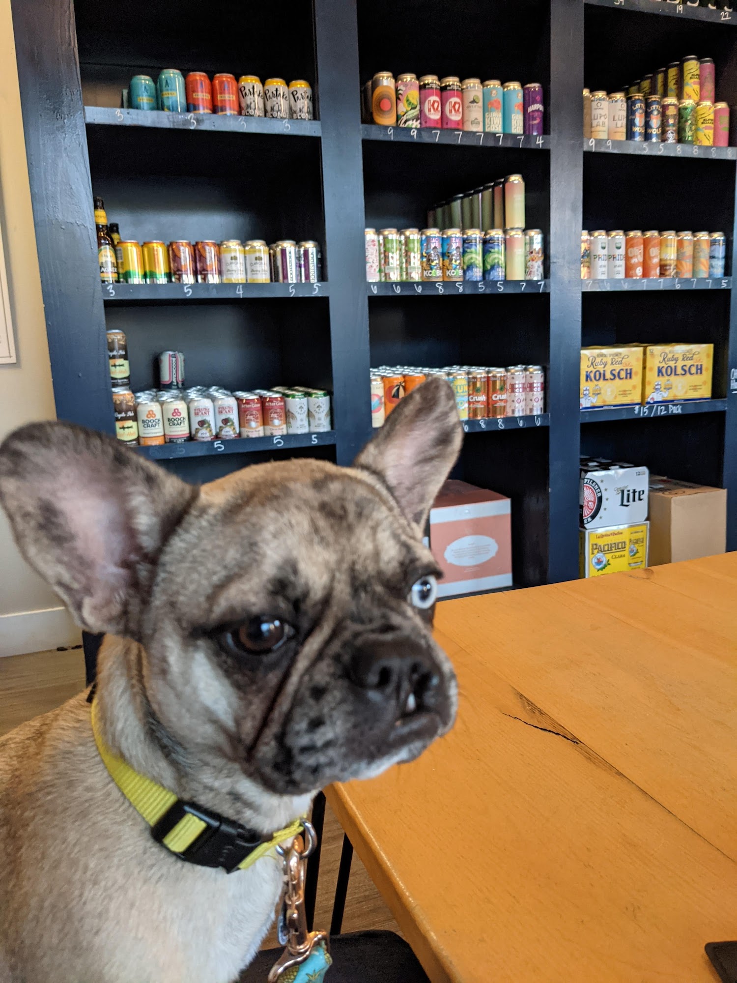 Fattey Beer Co. Orchard Park Orchard Park