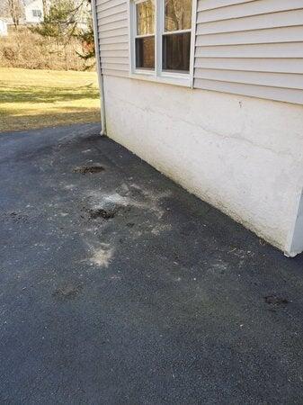 AL's Junk Removal LLC