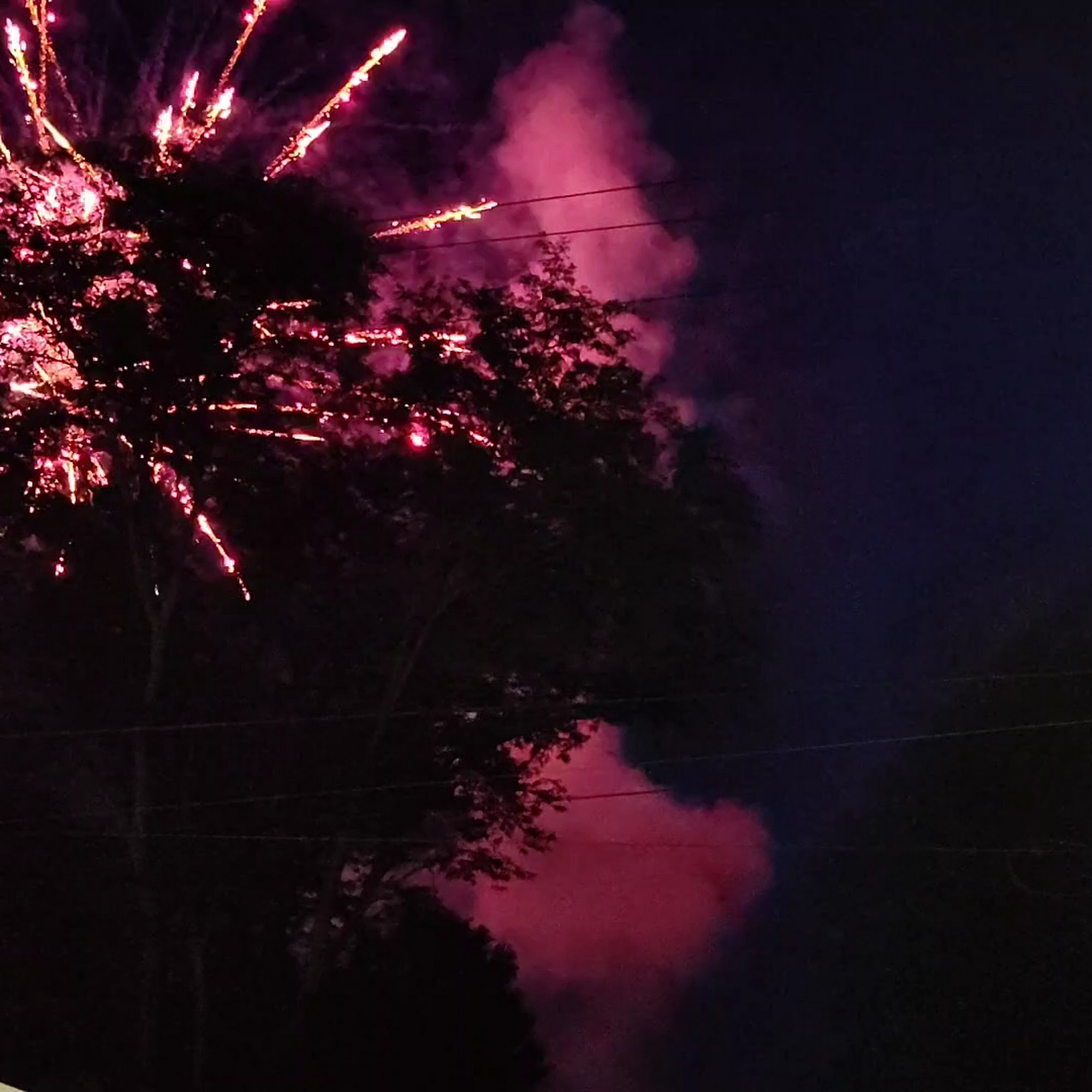 1867 Parkview Inn Owego