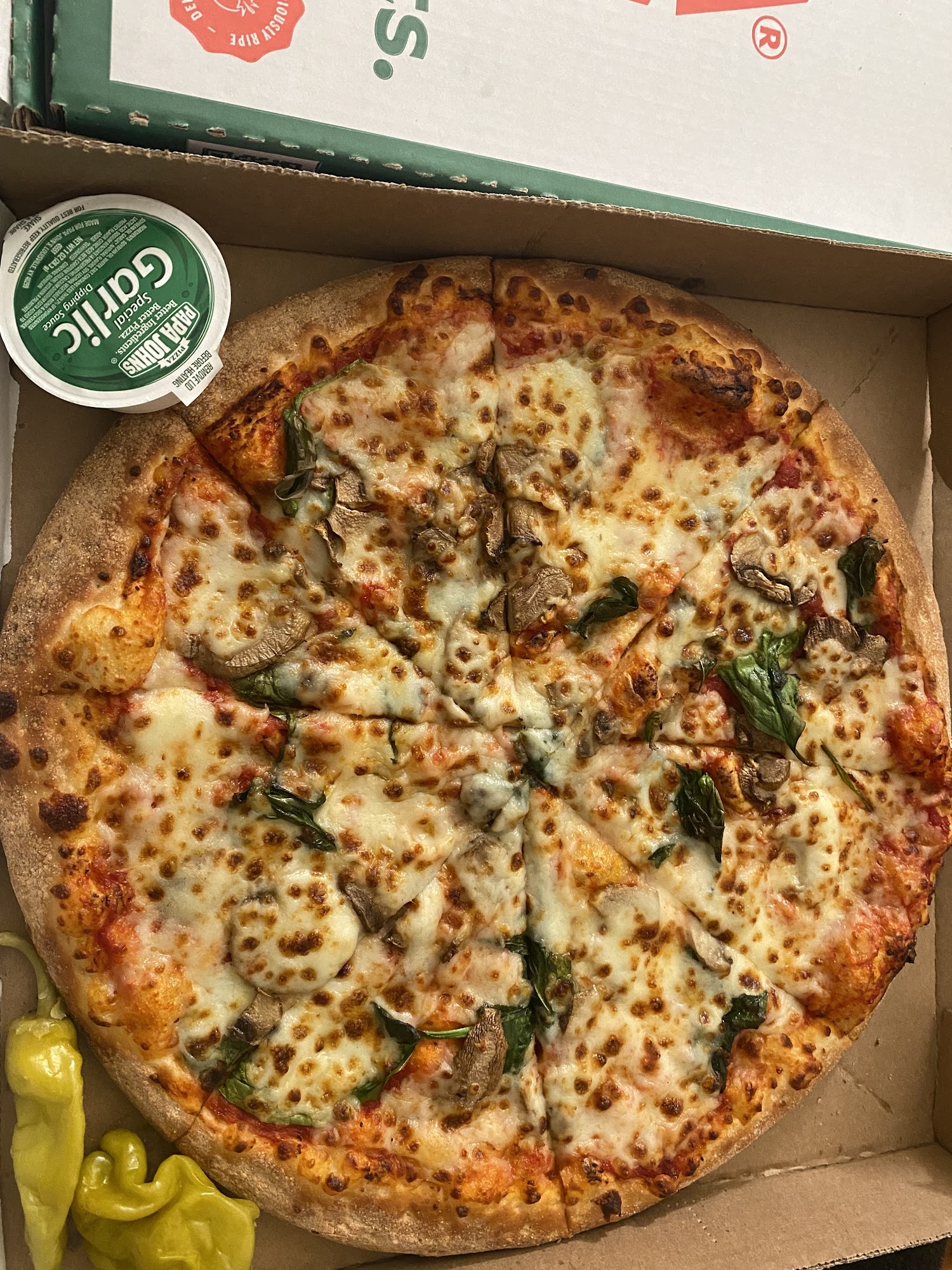 Papa Johns Pizza