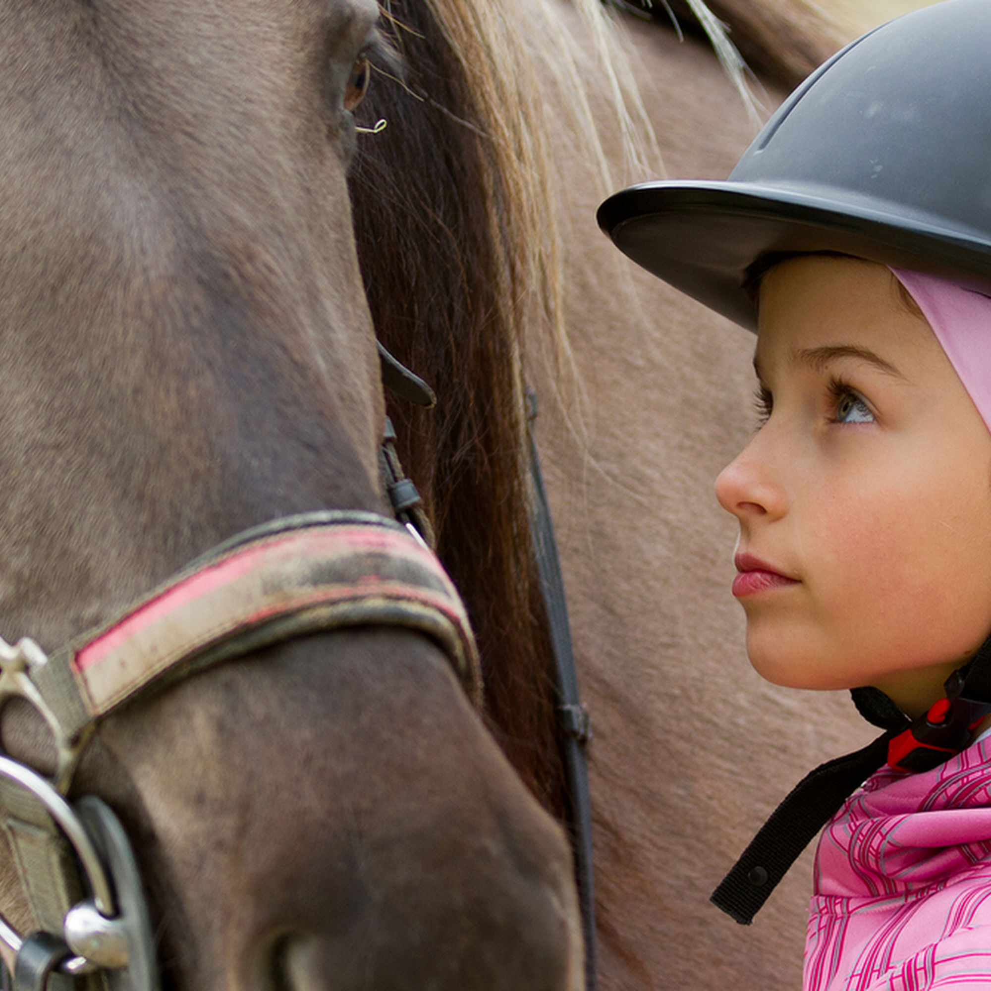New England Equine Practice Patterson