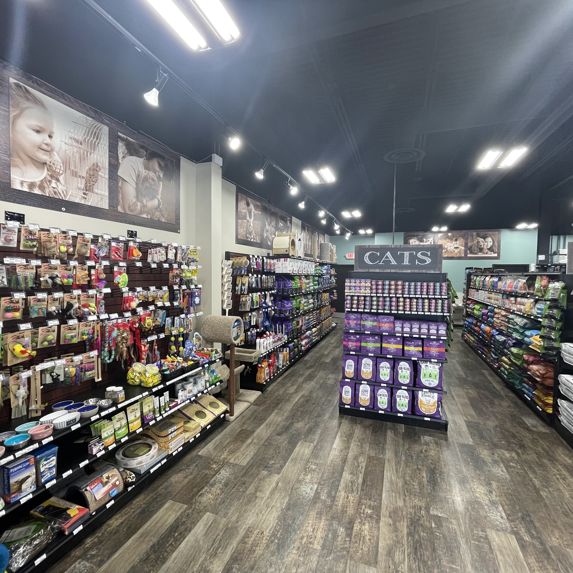 Choice Pet - Patterson Patterson