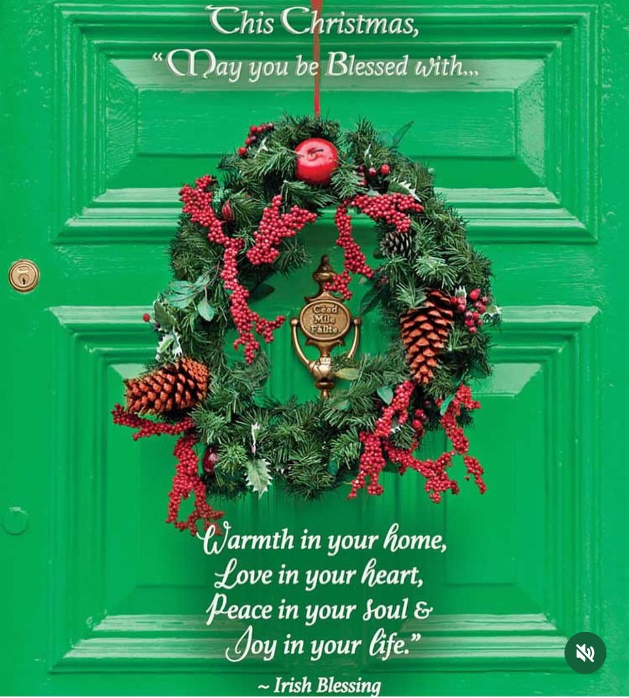 The Gracie Rose Pearl River