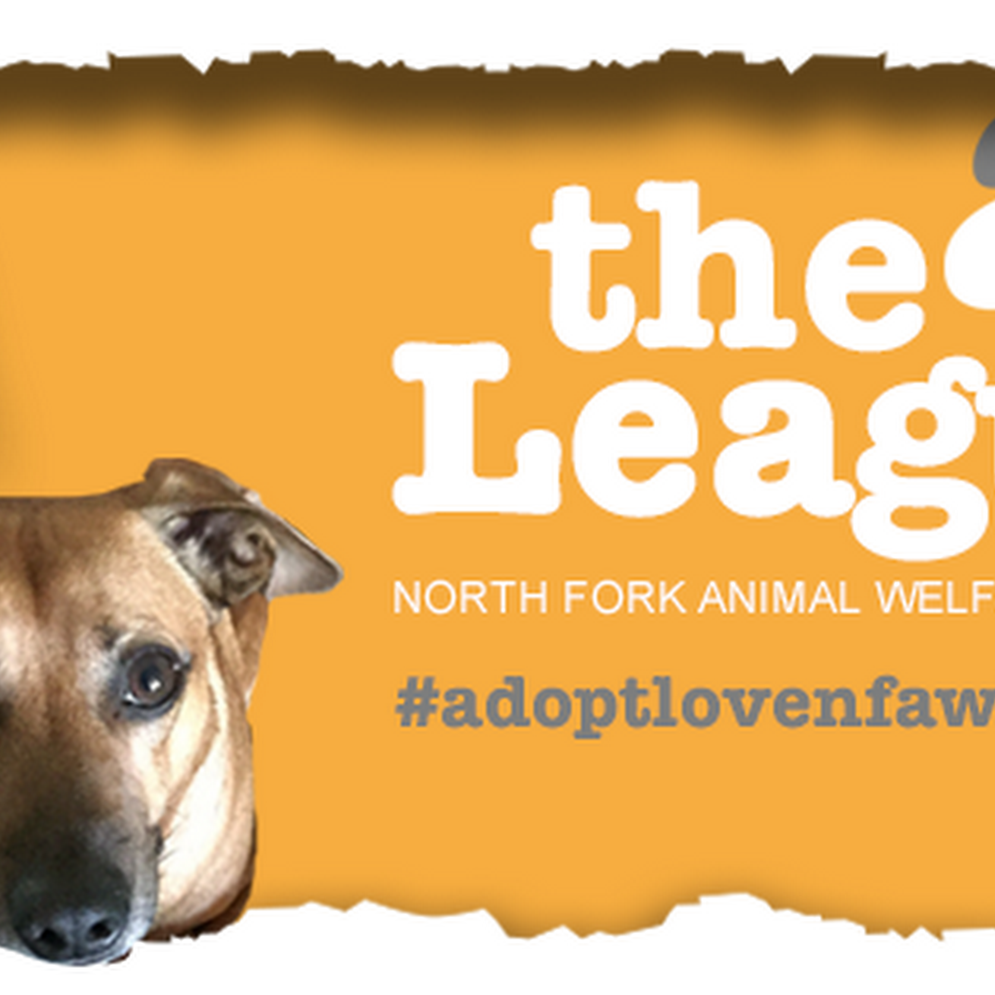 Southold Animal Shelter Peconic