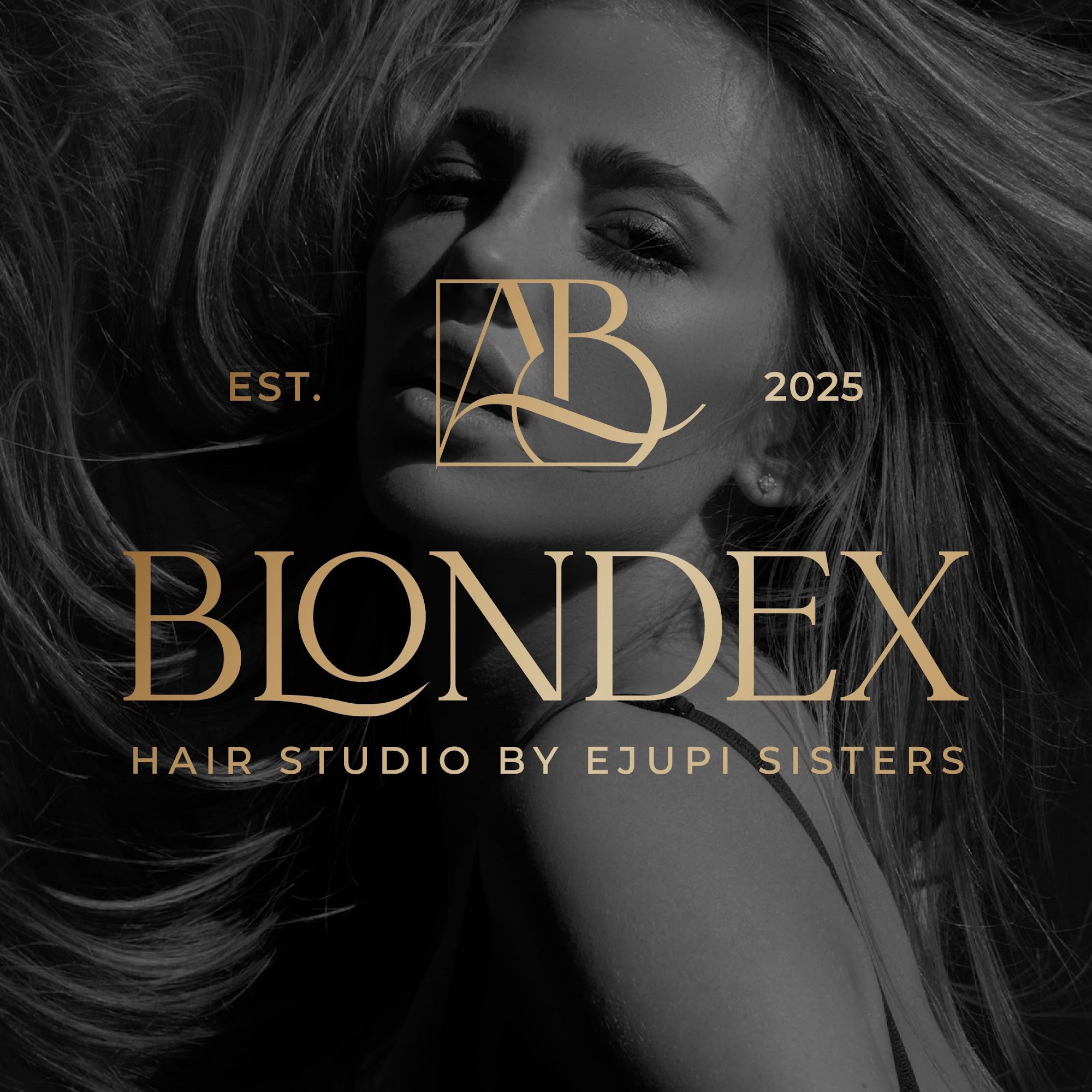 Blondex Hair Studio 319 Fifth Ave, Pelham New York 10803