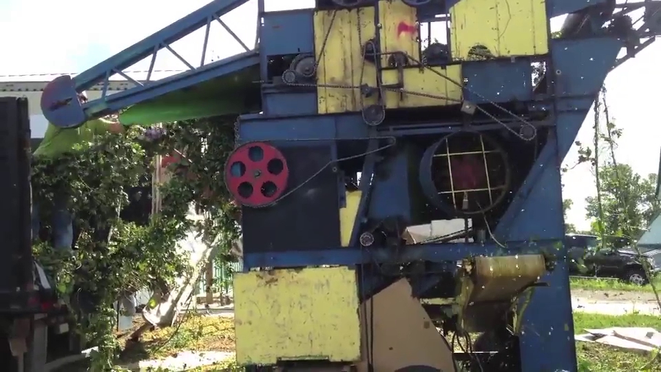 Climbing Bines Hop Farm & Brewery Penn Yan