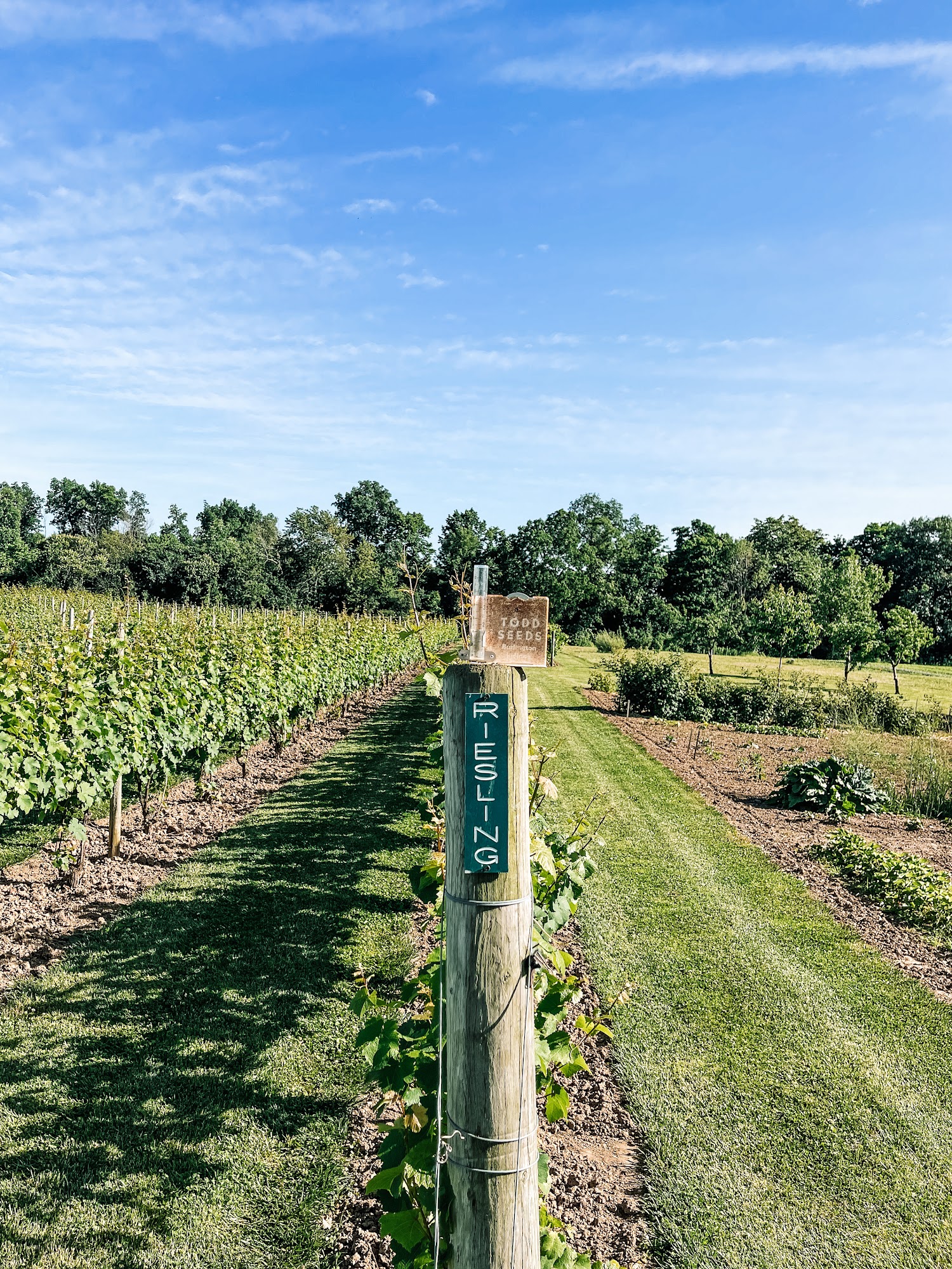 New Vines Winery Menu