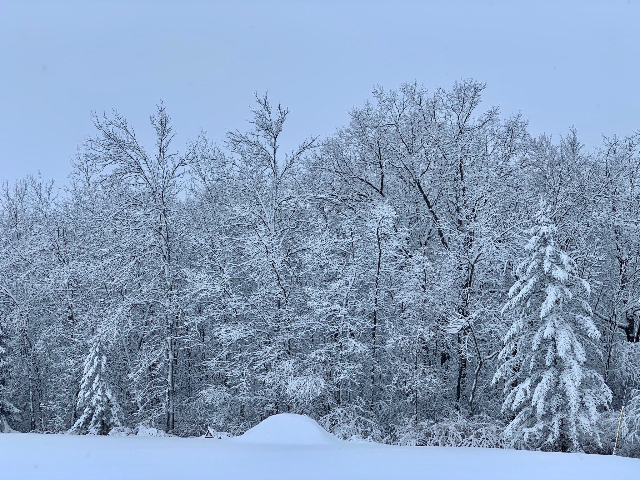 Lumber Yard Restaurant Perry