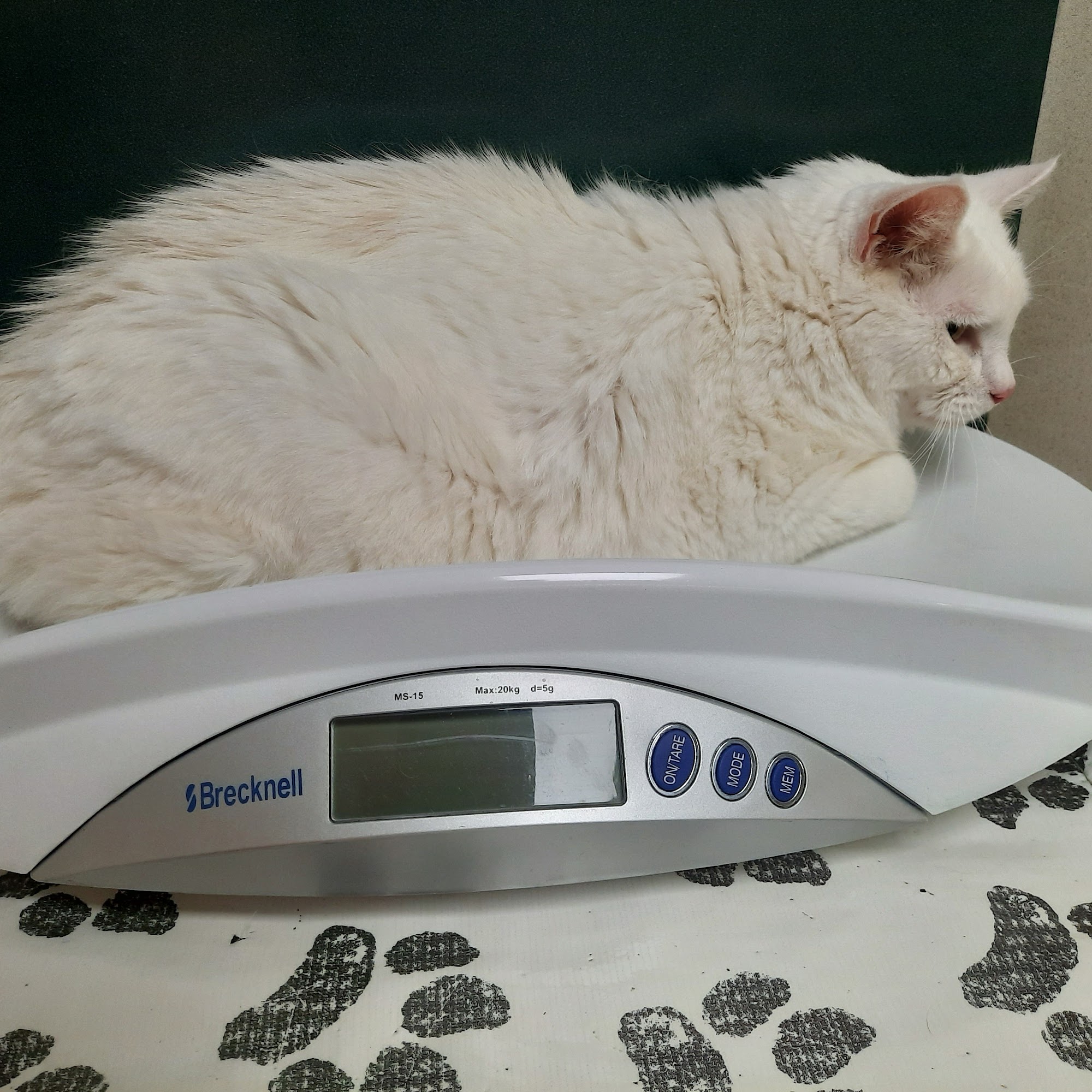 Perry Veterinary Clinic Perry