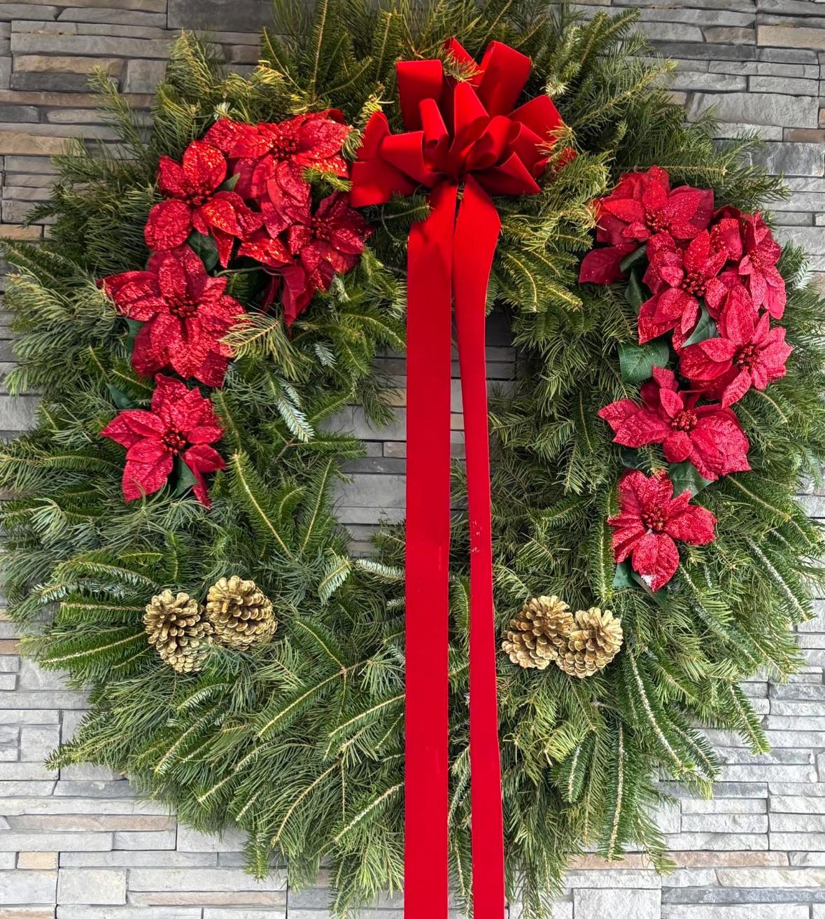 R F H's Hide-A-Way Phoenix