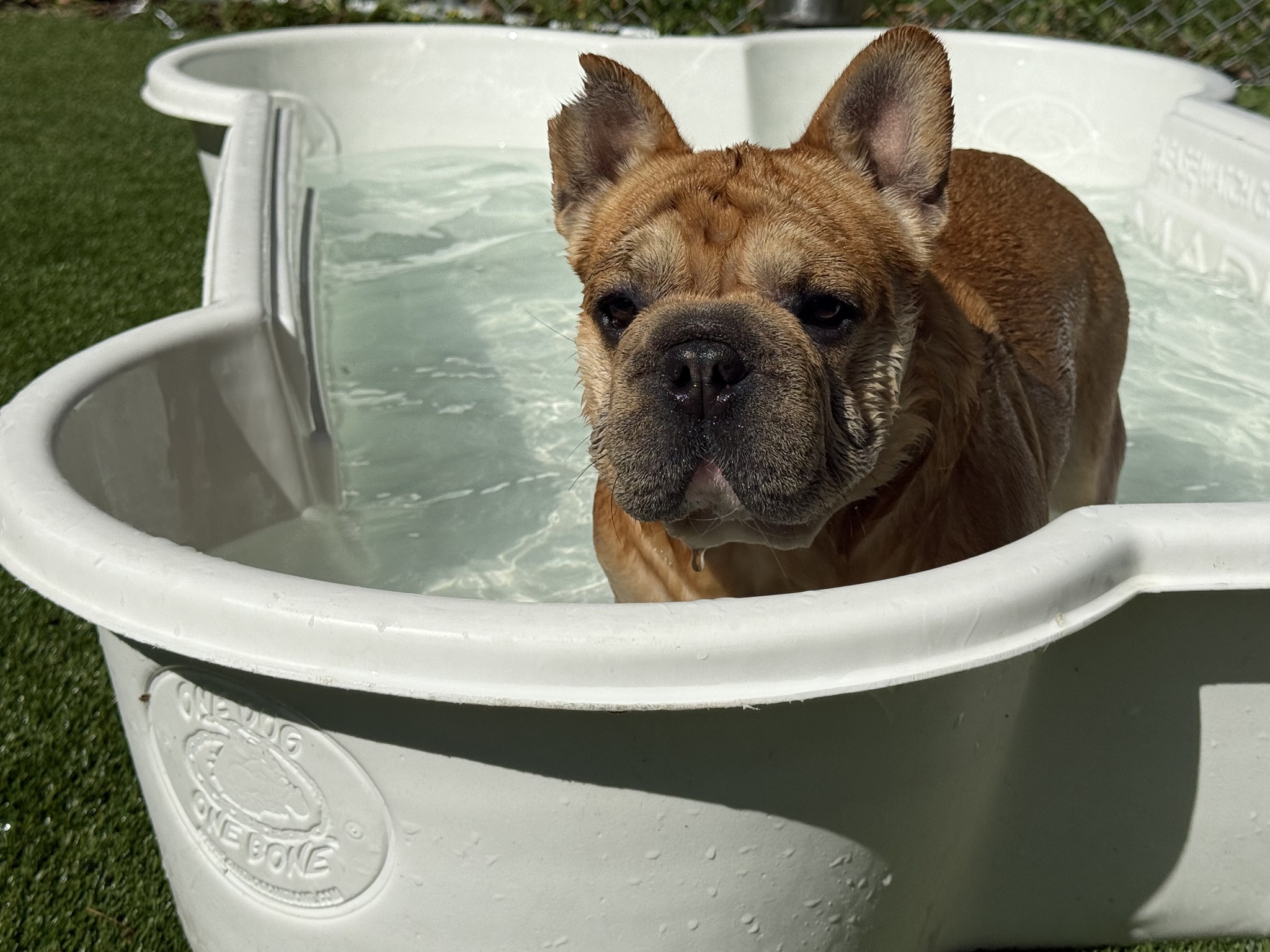 Ruff Haus Kennels, LLC Pine Bush