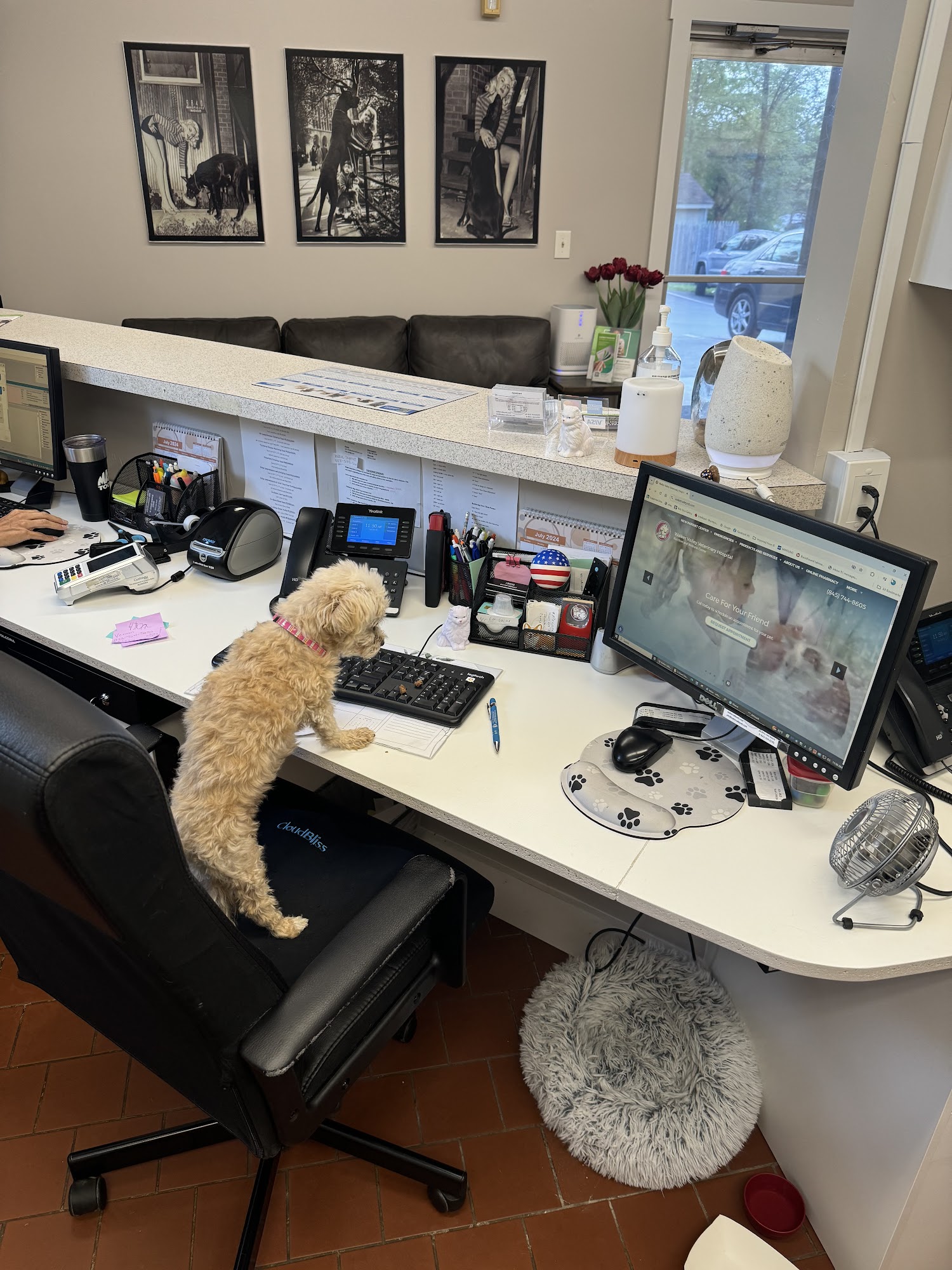 Walker Valley Veterinary Hospital Pine Bush