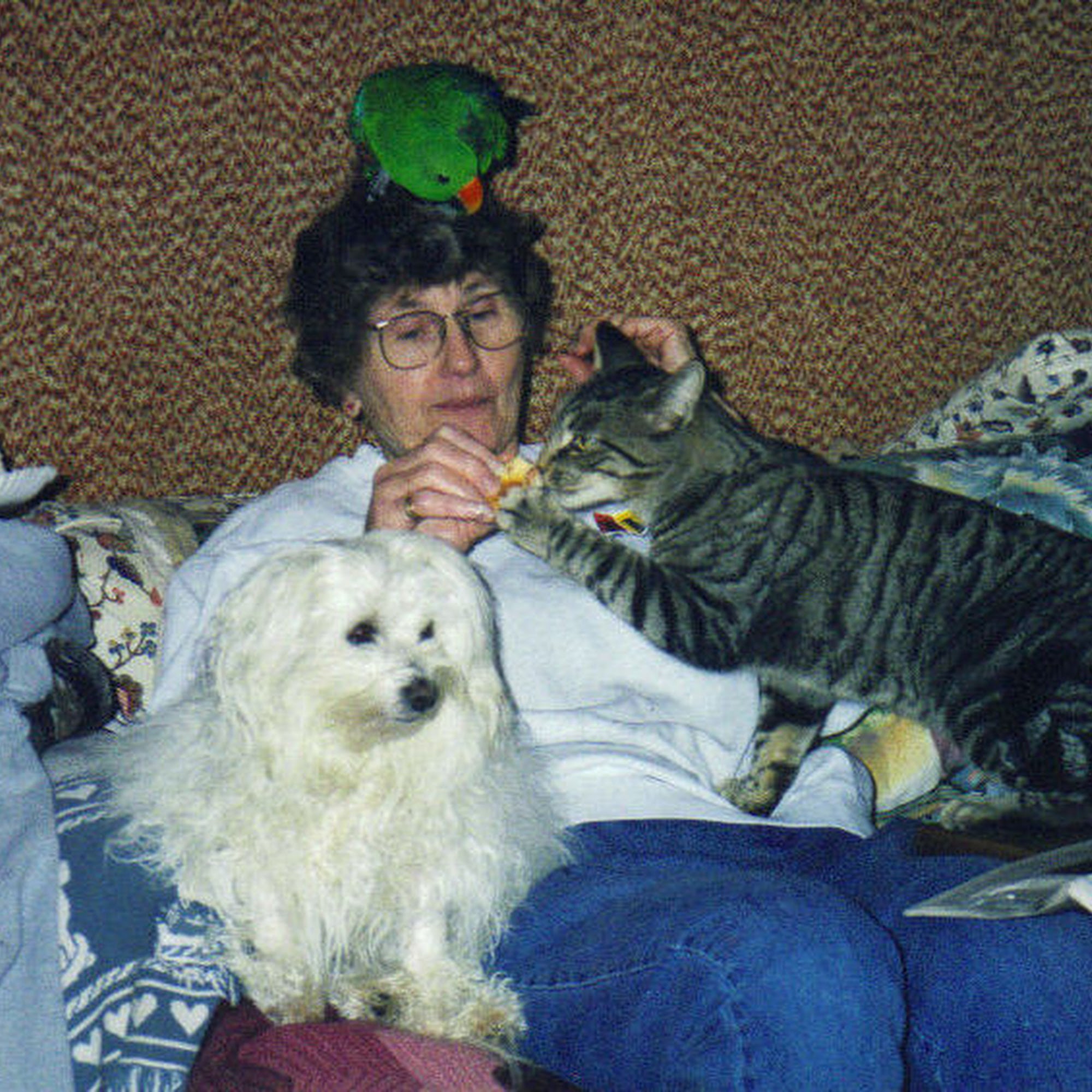 Fraser Kennel Pine Plains