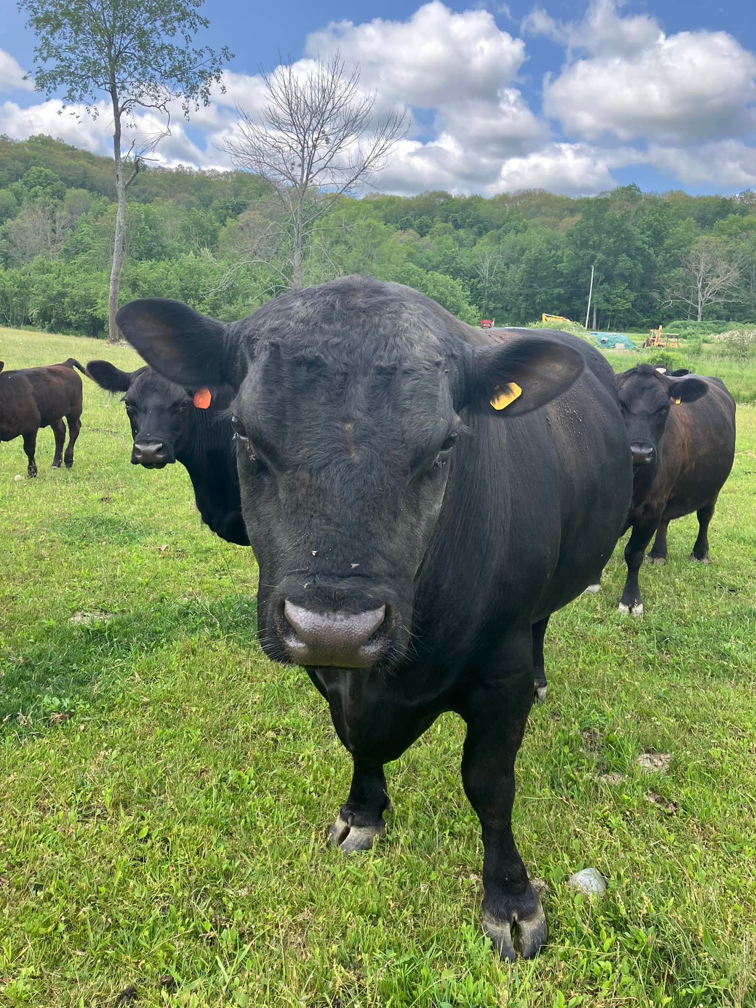 Sky Acres Farmmarket Pine Plains