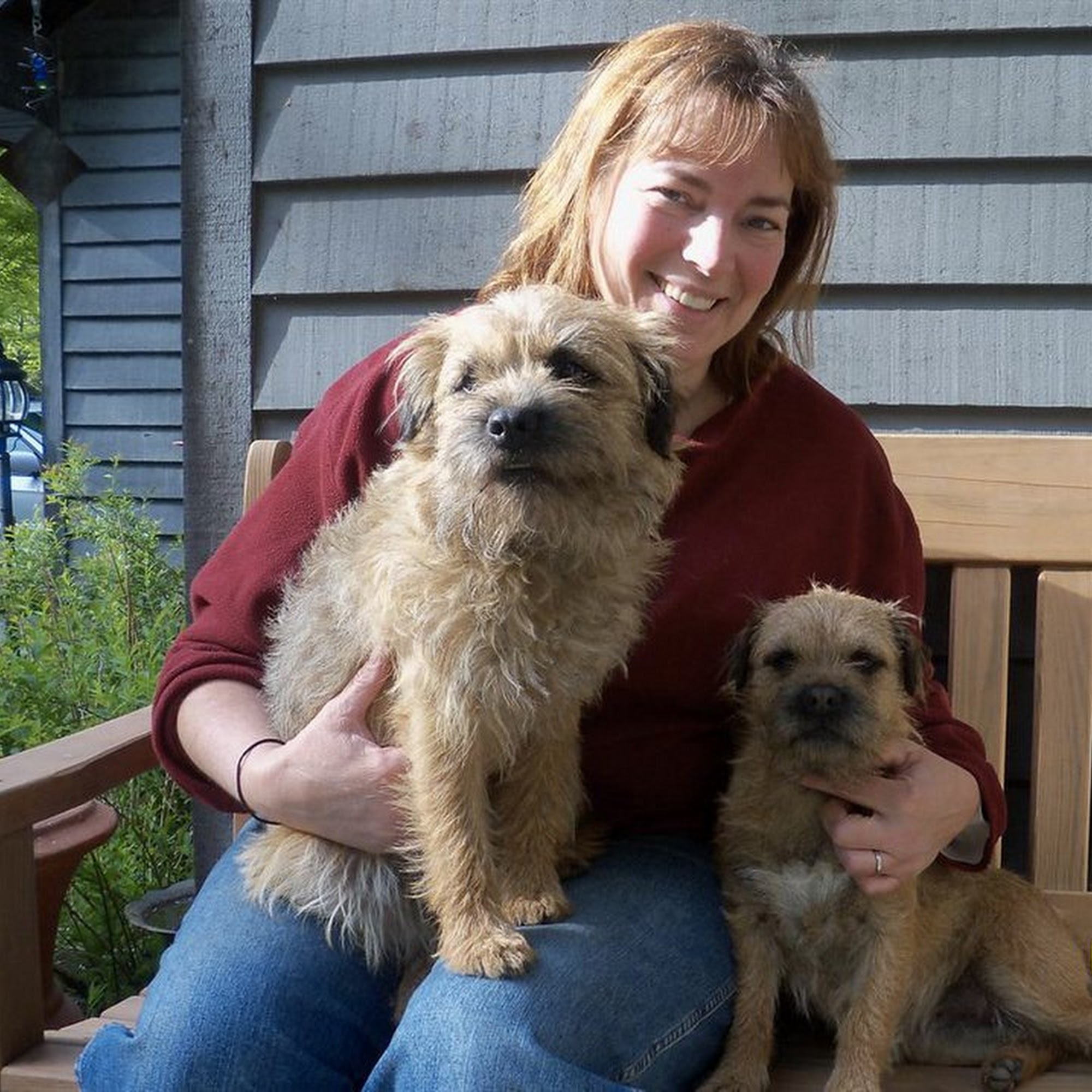 Canfield Vet, Dog and Cat Hospital Pittsford