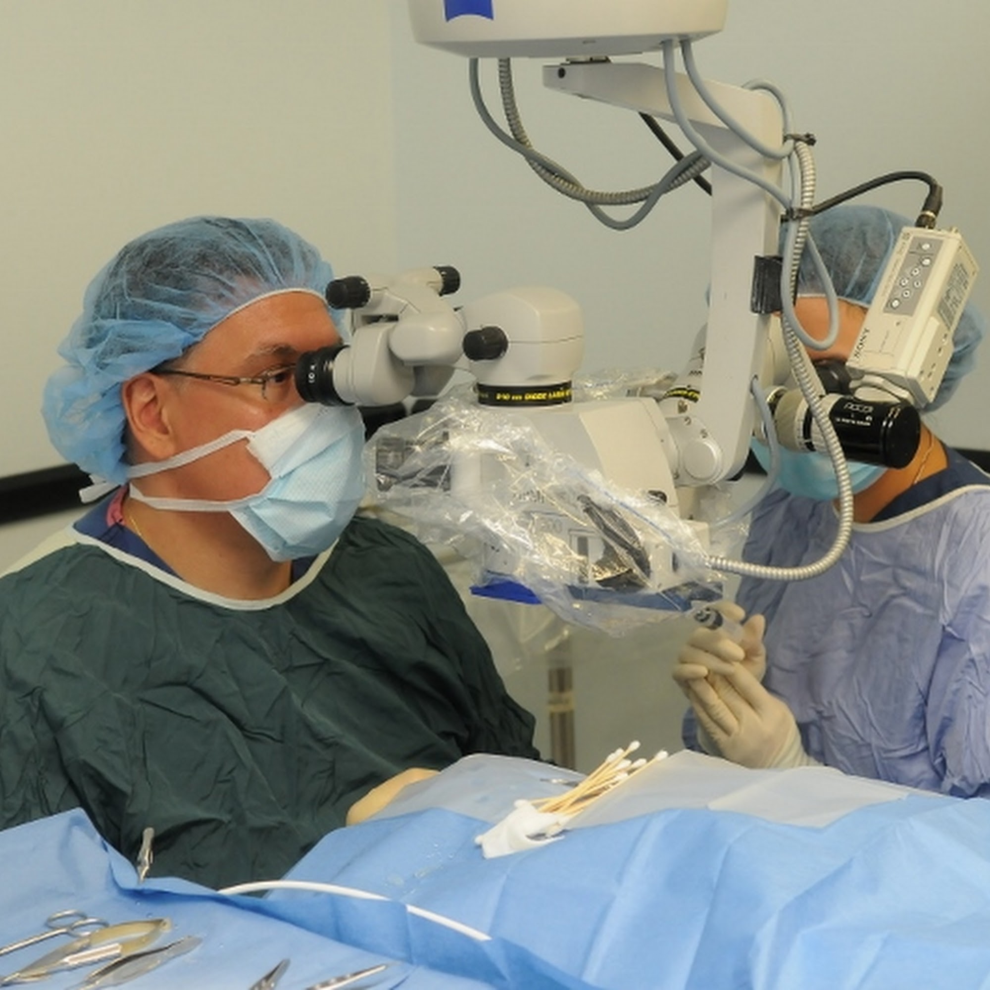 Long Island Veterinary Specialists Plainview