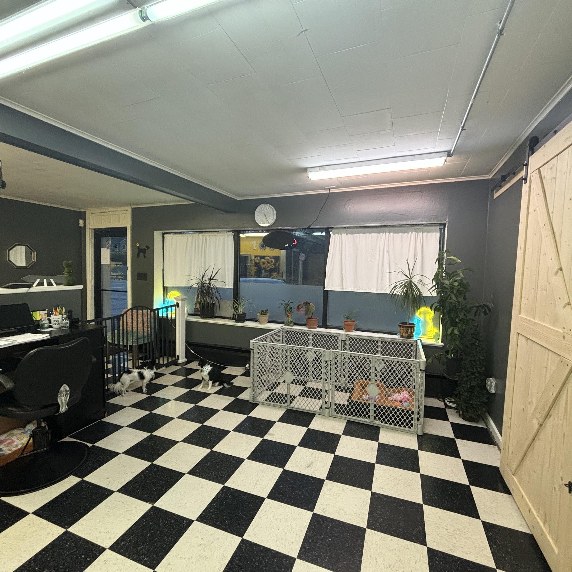 Dog Vibes Pleasant Valley