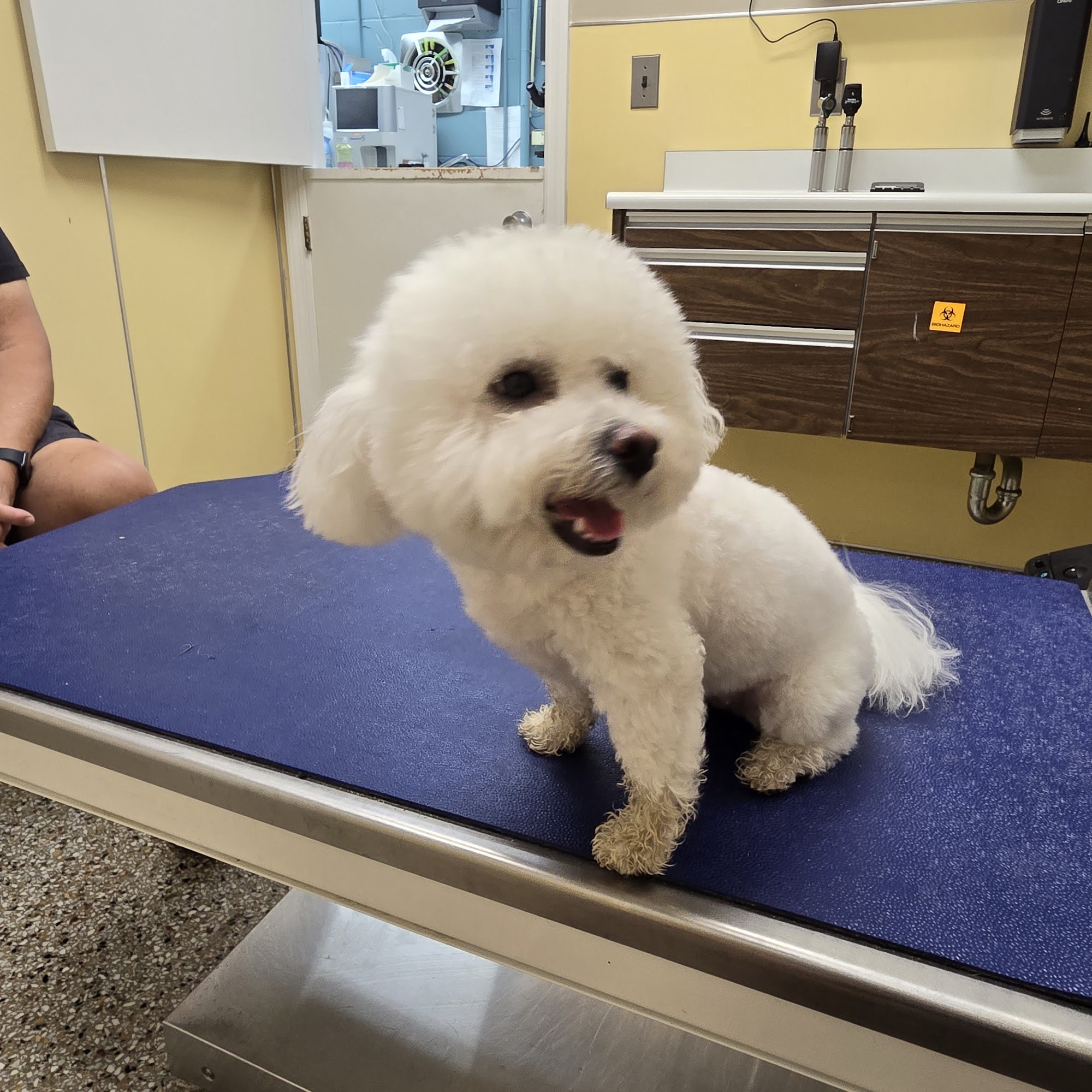 Rockland Veterinary Care - Pomona Pomona