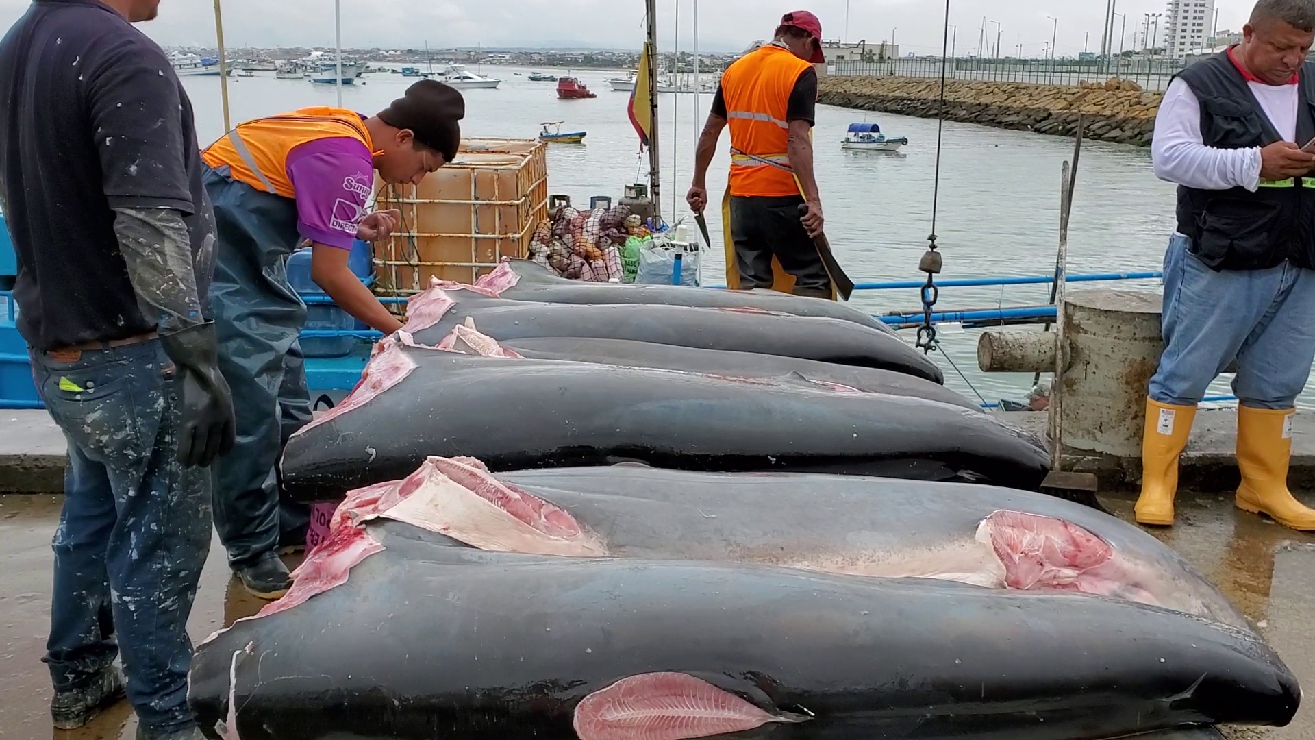 Nico's Seafood Wholesale Cash & Carry & Distributor Menu