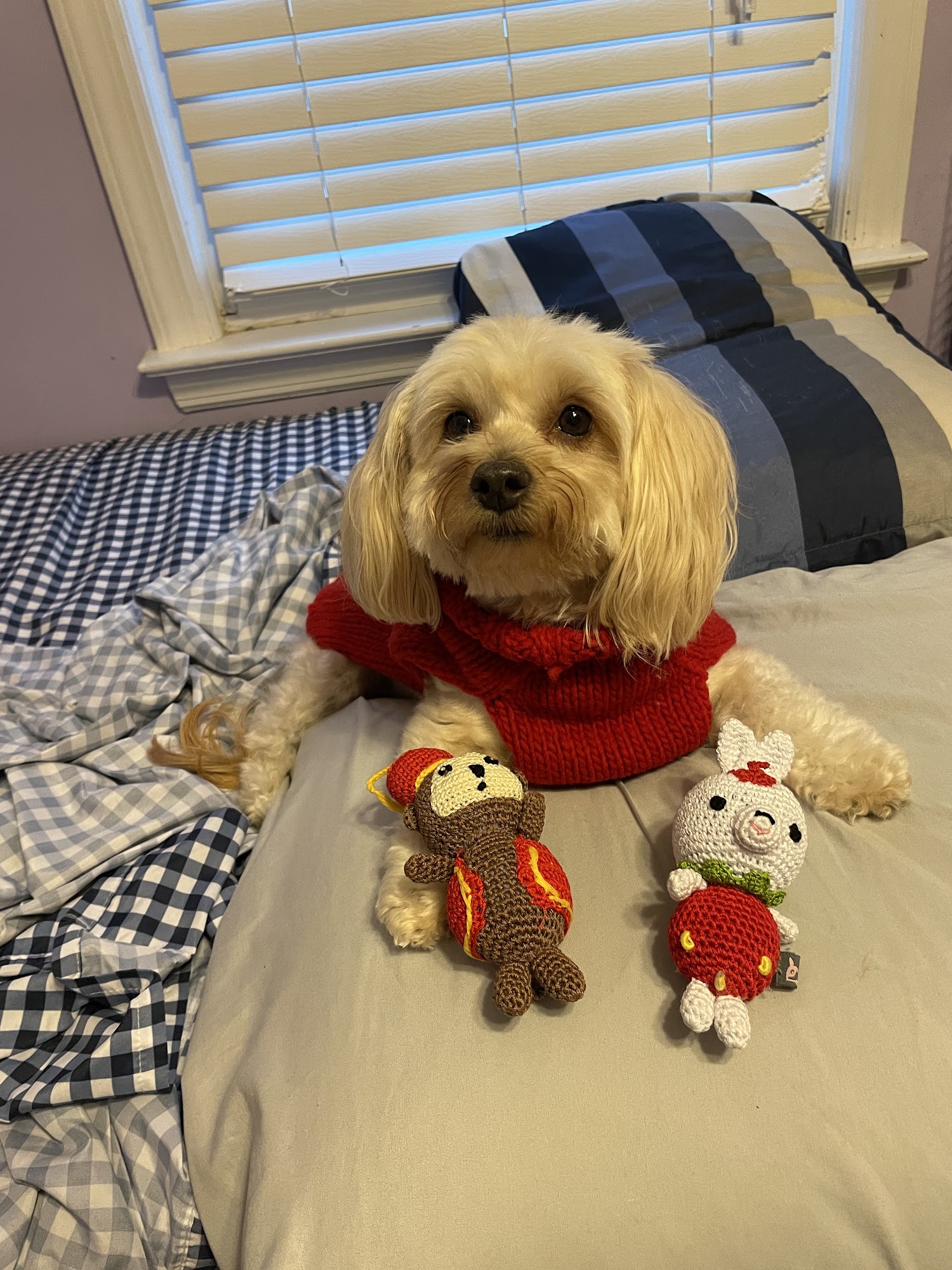 Fetch Doggy Boutique & Bakery Port Jefferson