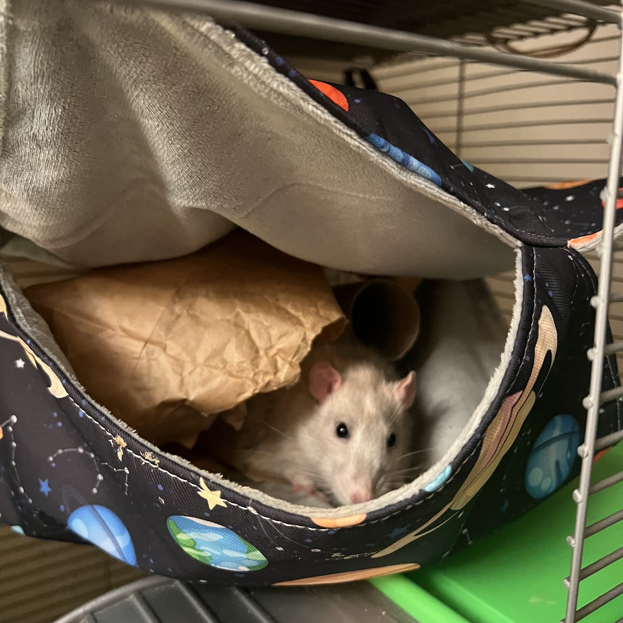 Tri-State Veterinary Hospital Port Jervis