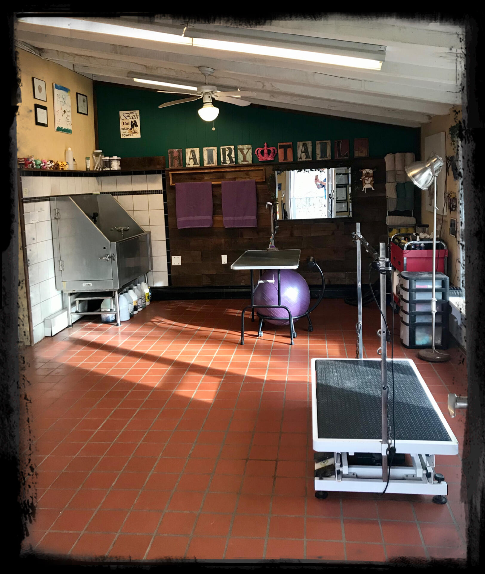 Hairy Tails Groom & Room Port Jervis