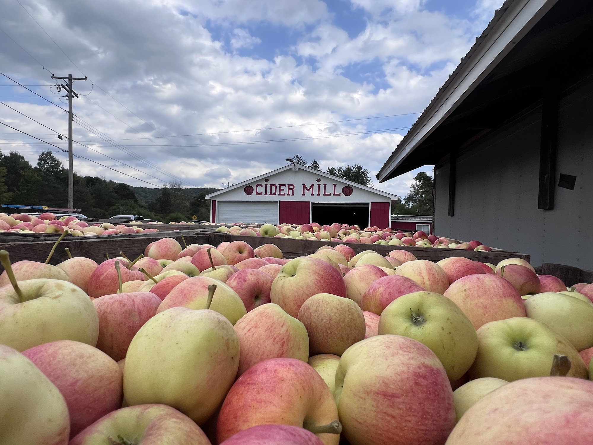Cider Mill