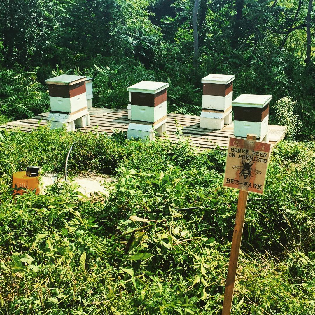 Plan Bee Farm Brewery Poughkeepsie