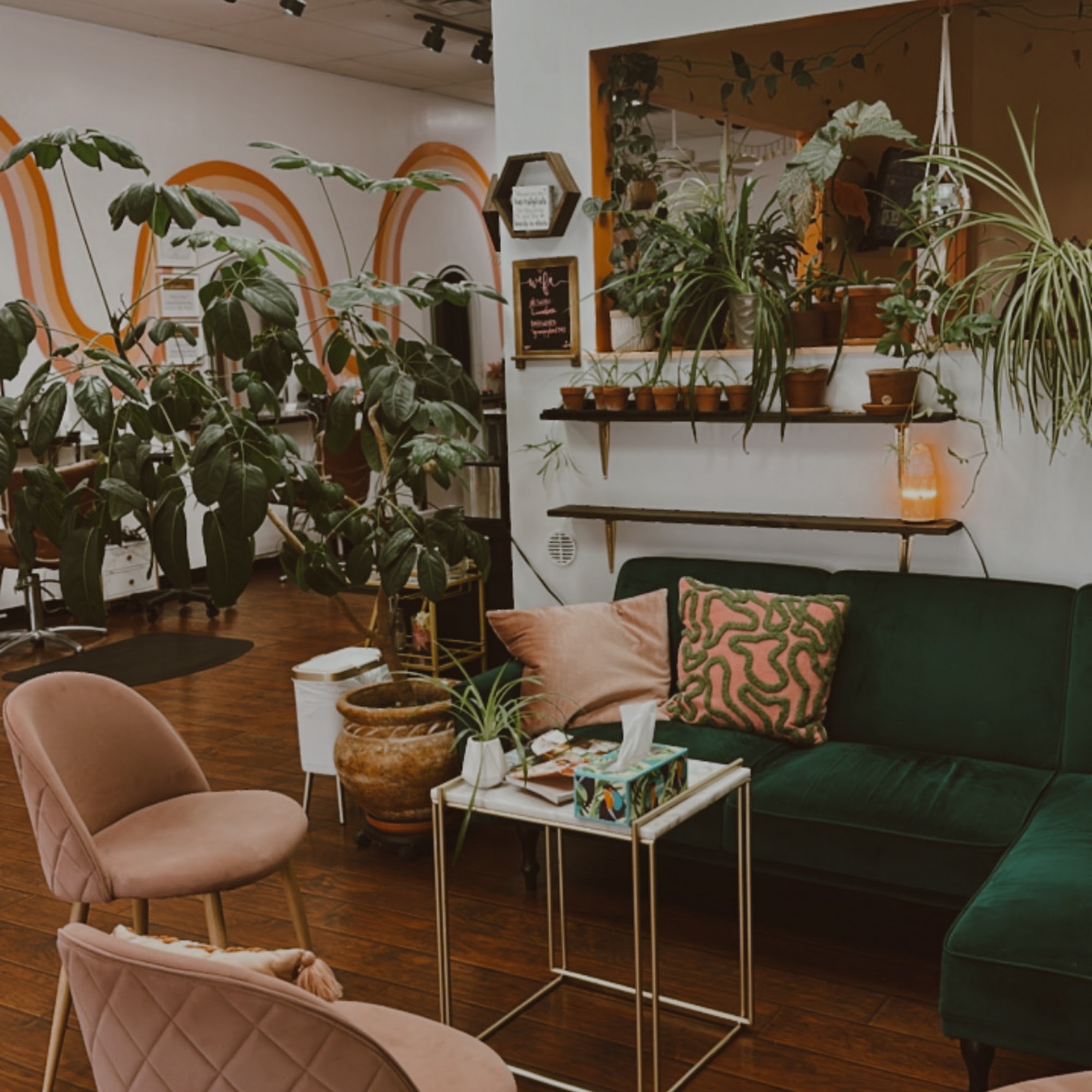 Live Free & Dye Salon