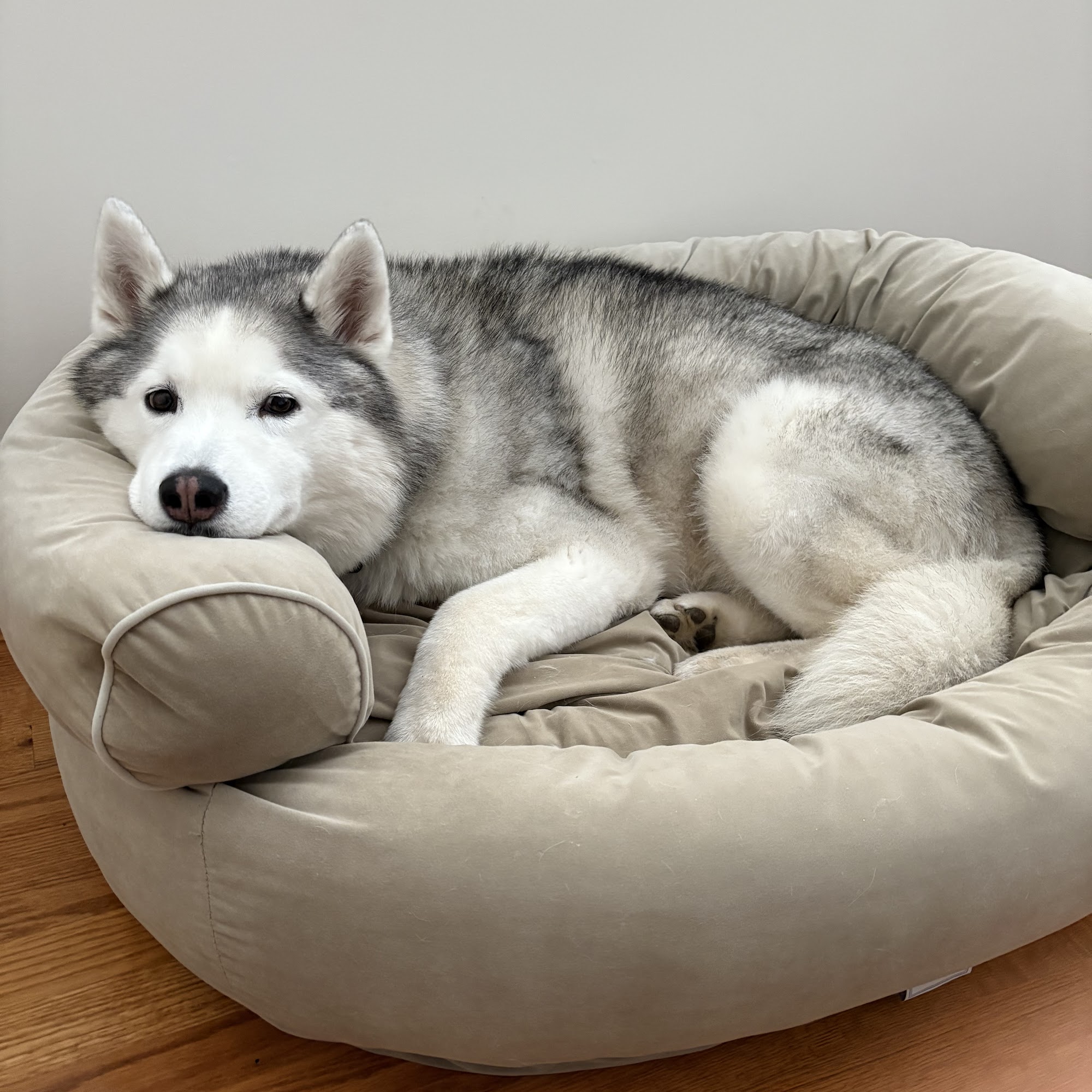 Pound Ridge Veterinary Center Pound Ridge