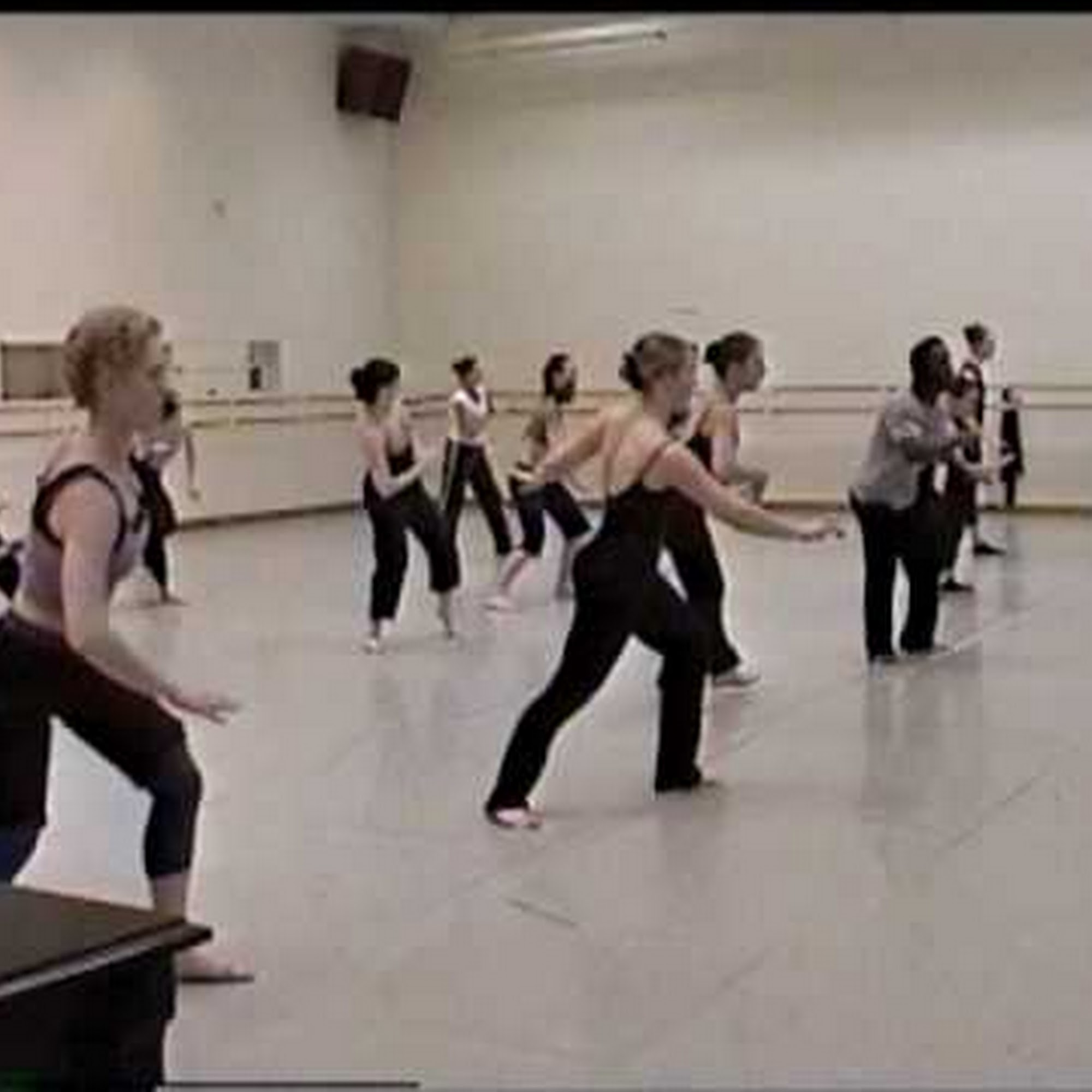 Purchase College, SUNY Conservatory of Dance Lincoln Ave, Purchase New York 10577