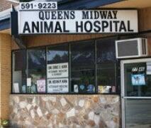 Queens Midway Animal Hospital Queens