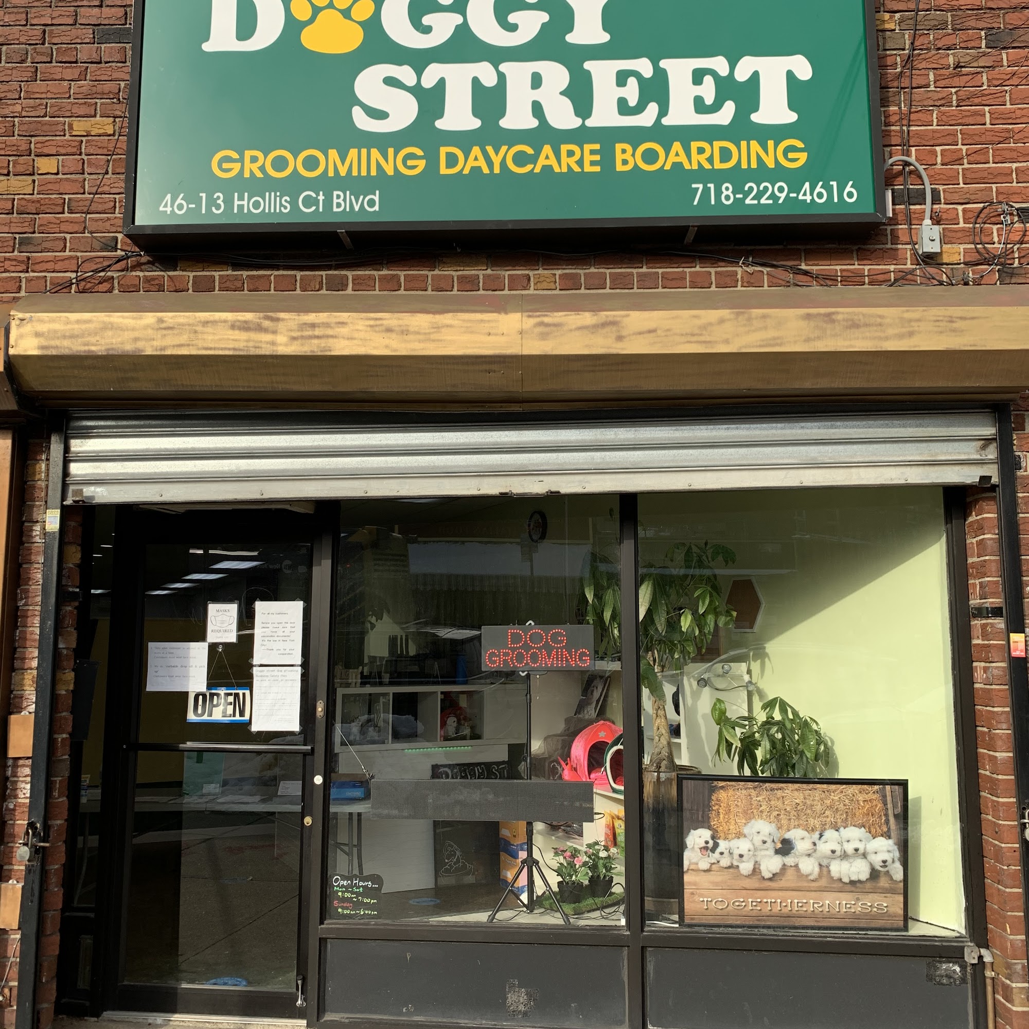 Doggy street Dog Grooming Queens