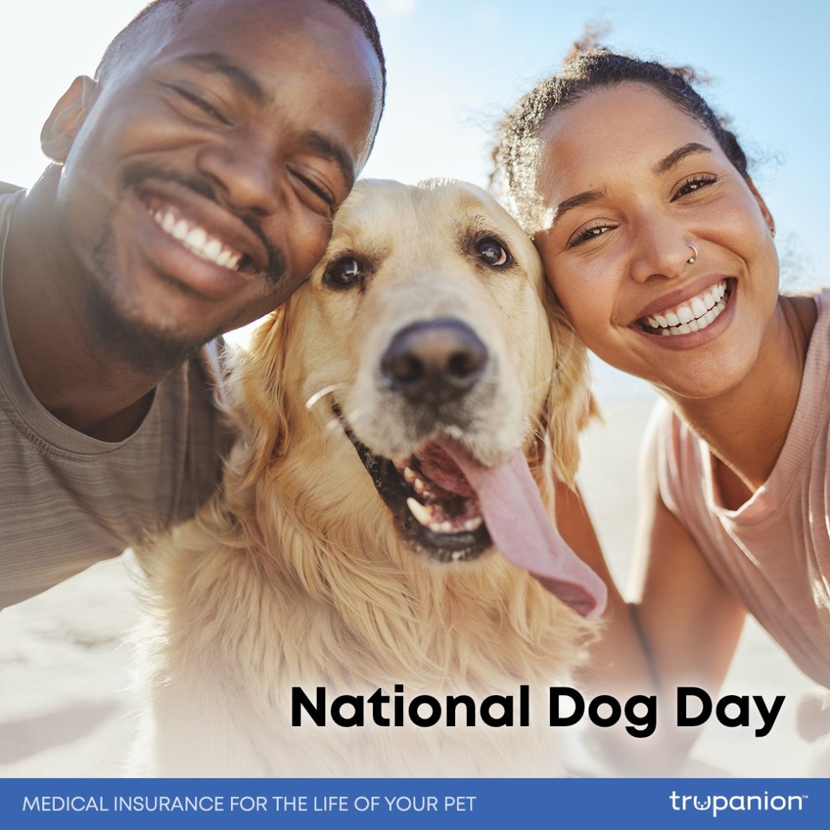 Veterinary Care Group - Middle Village Queens