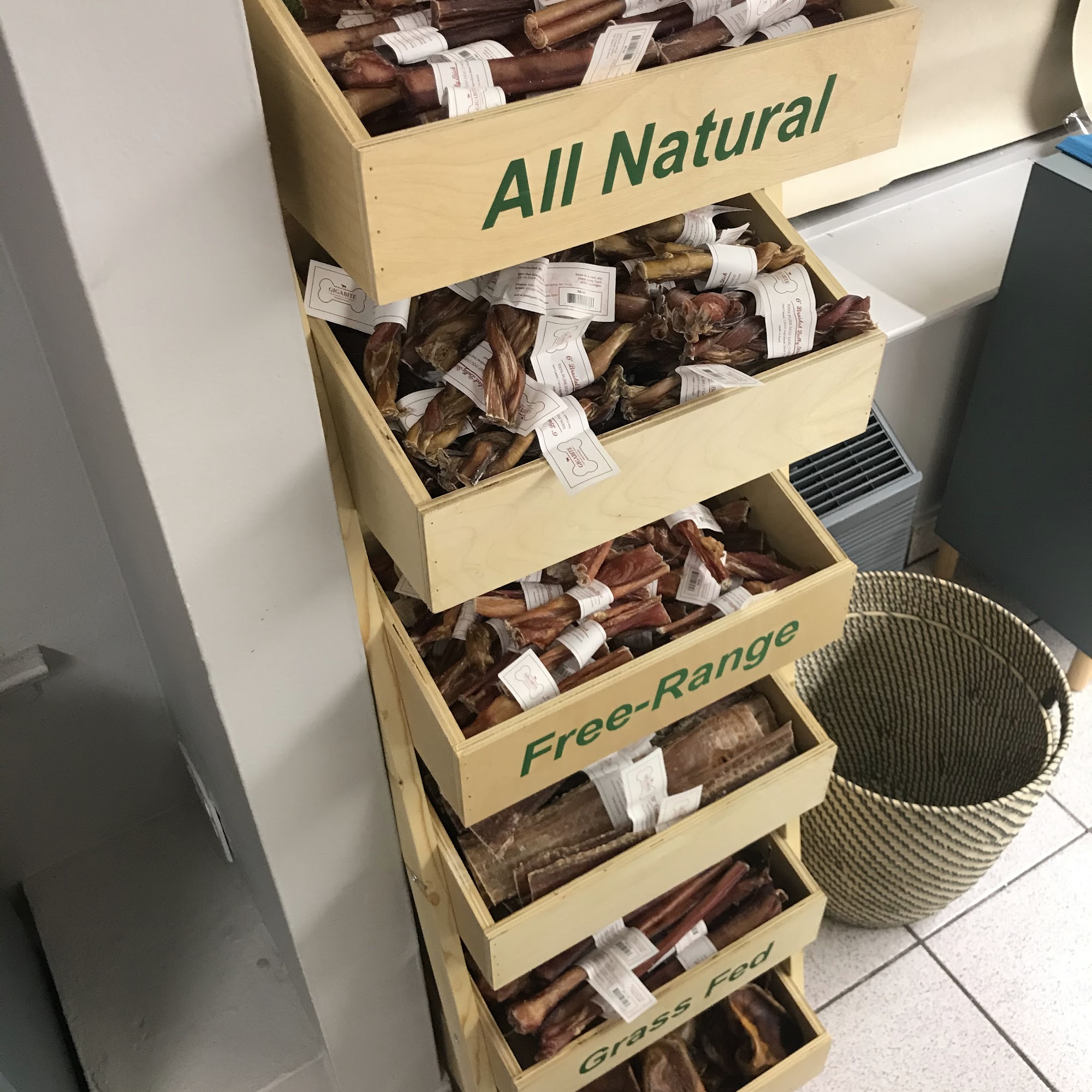 The Regal Beagle Queens