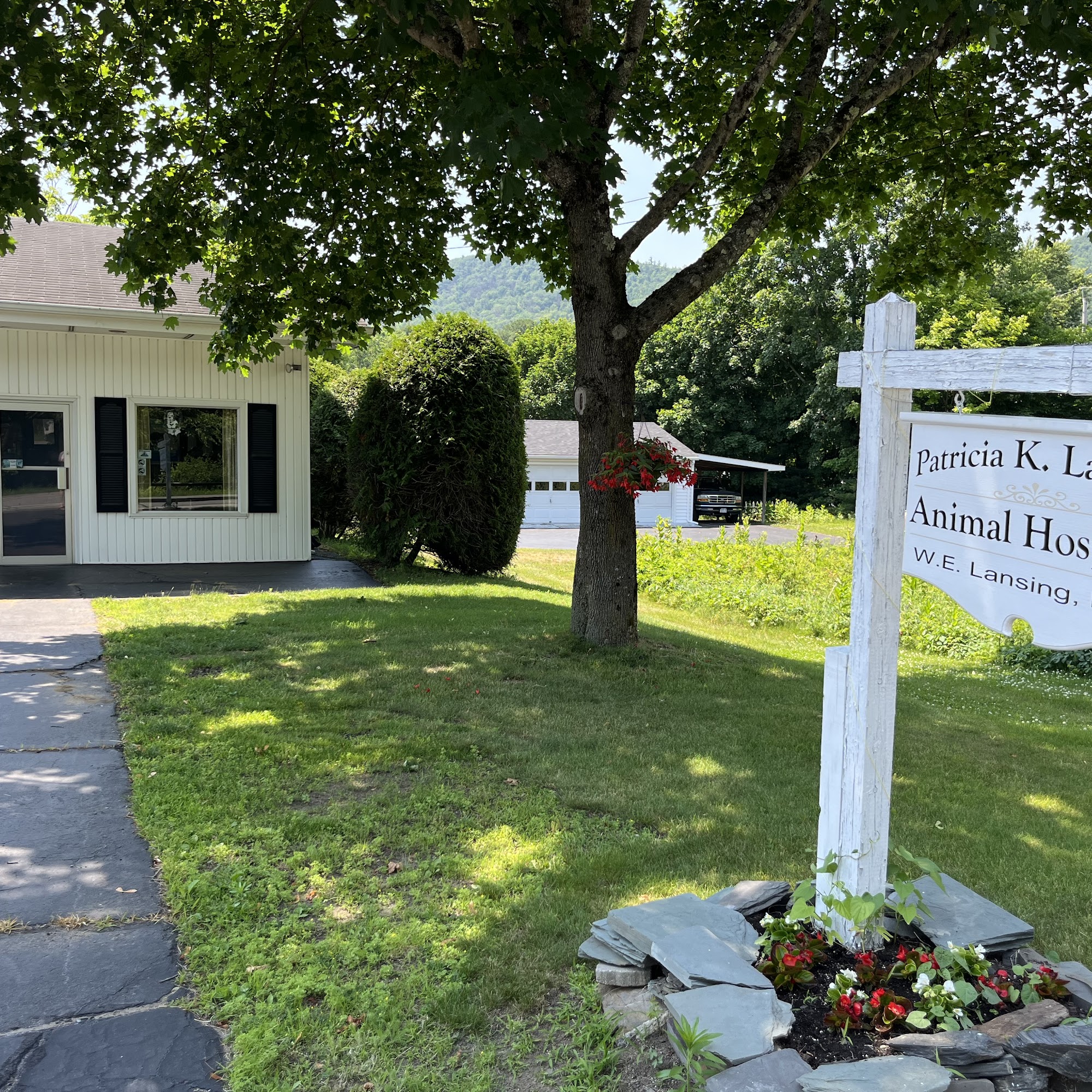 Queensbury Animal Hospital Queensbury