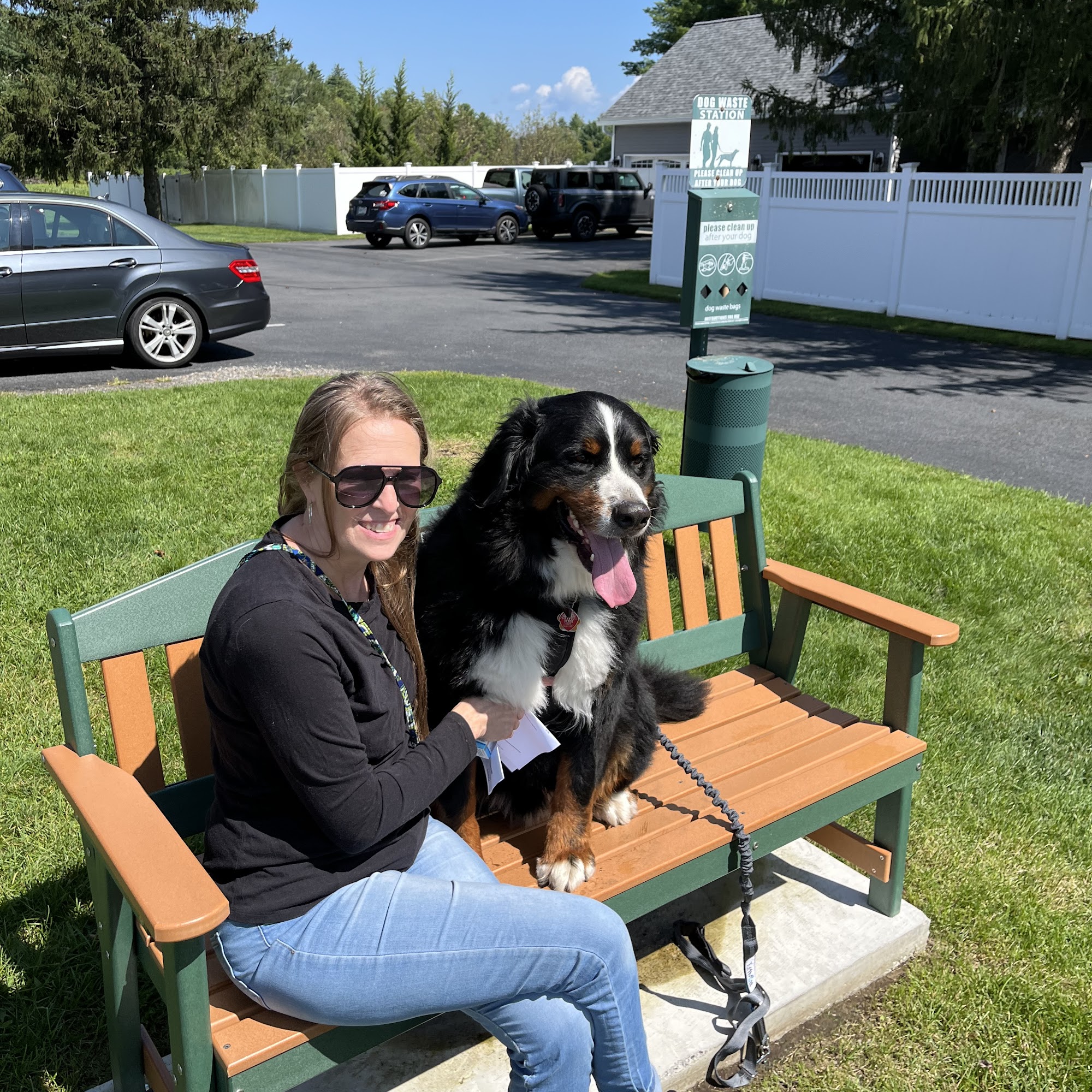 Glens Falls Animal Hospital Queensbury