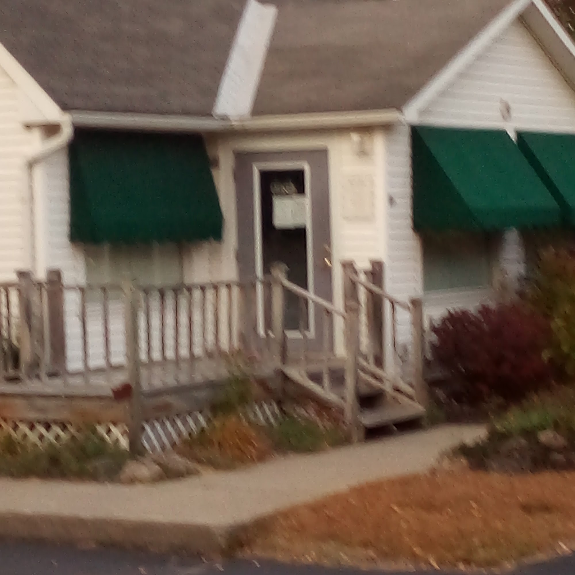 North Country Cat Hospital Queensbury