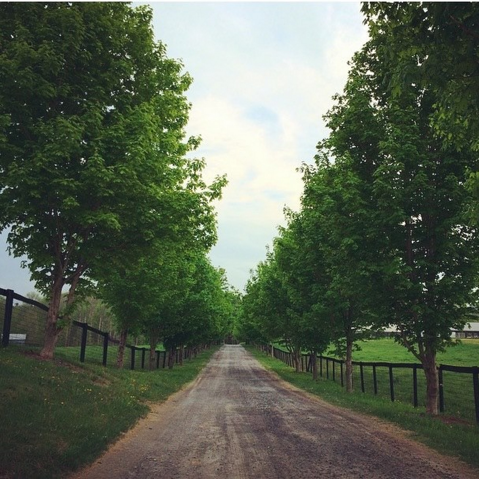 Equine Clinic At Oakencroft Ravena