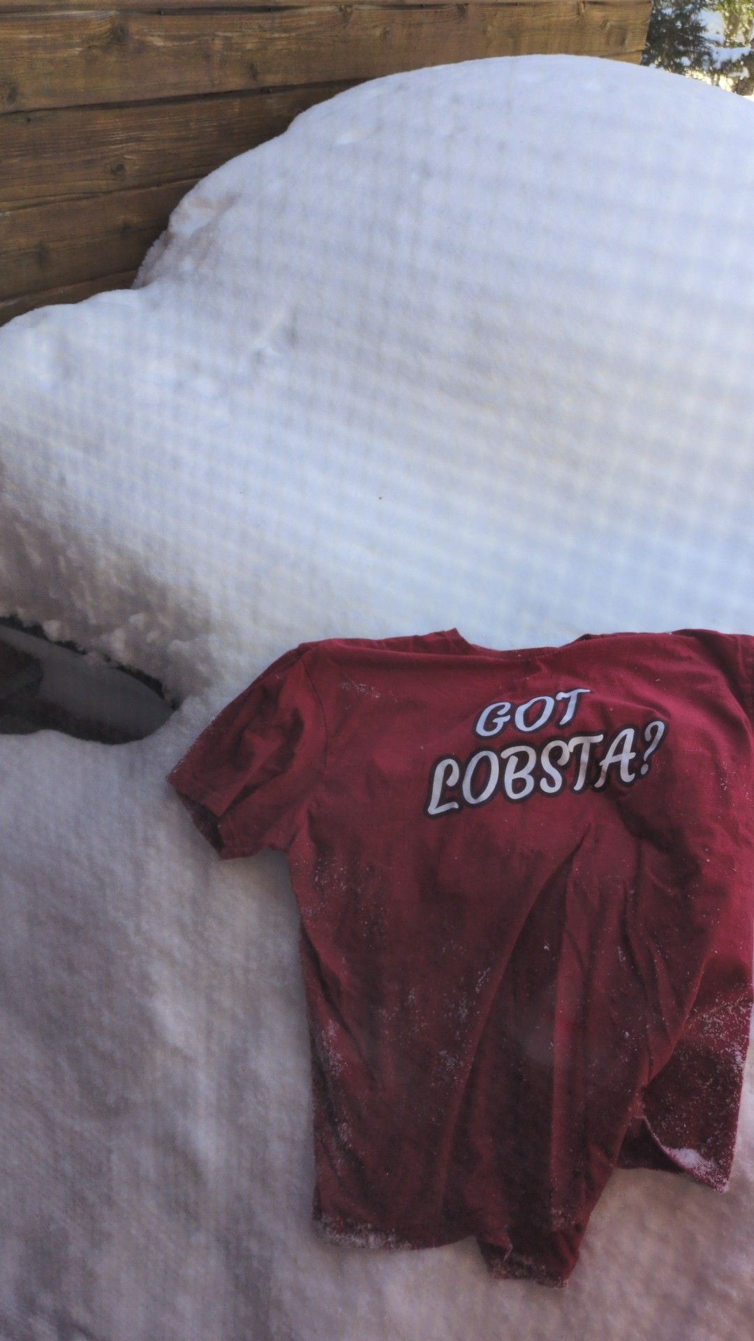 Tail O' the Pup - Open May til October Ray Brook