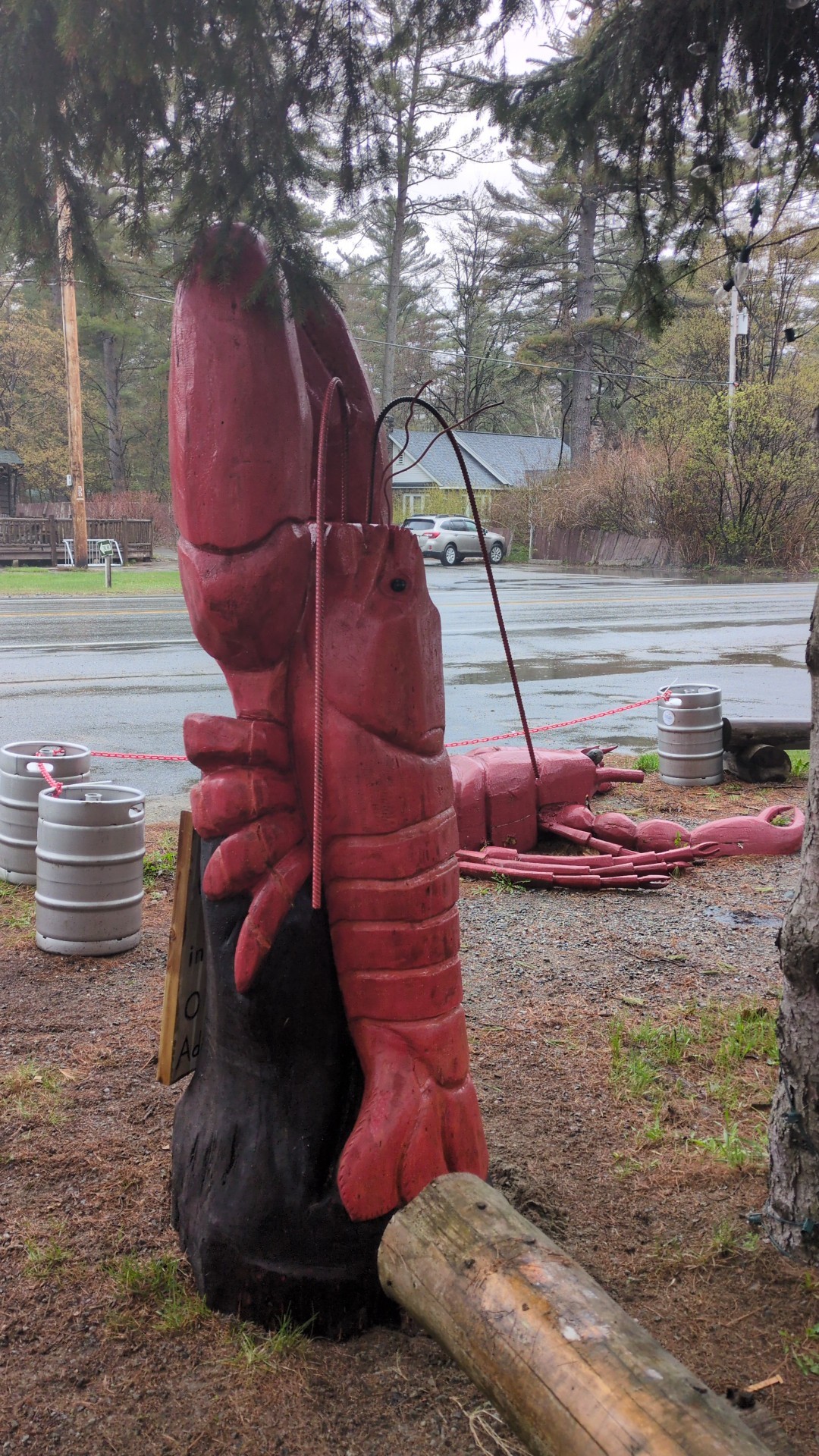 Tail O' the Pup - Open May til October Ray Brook