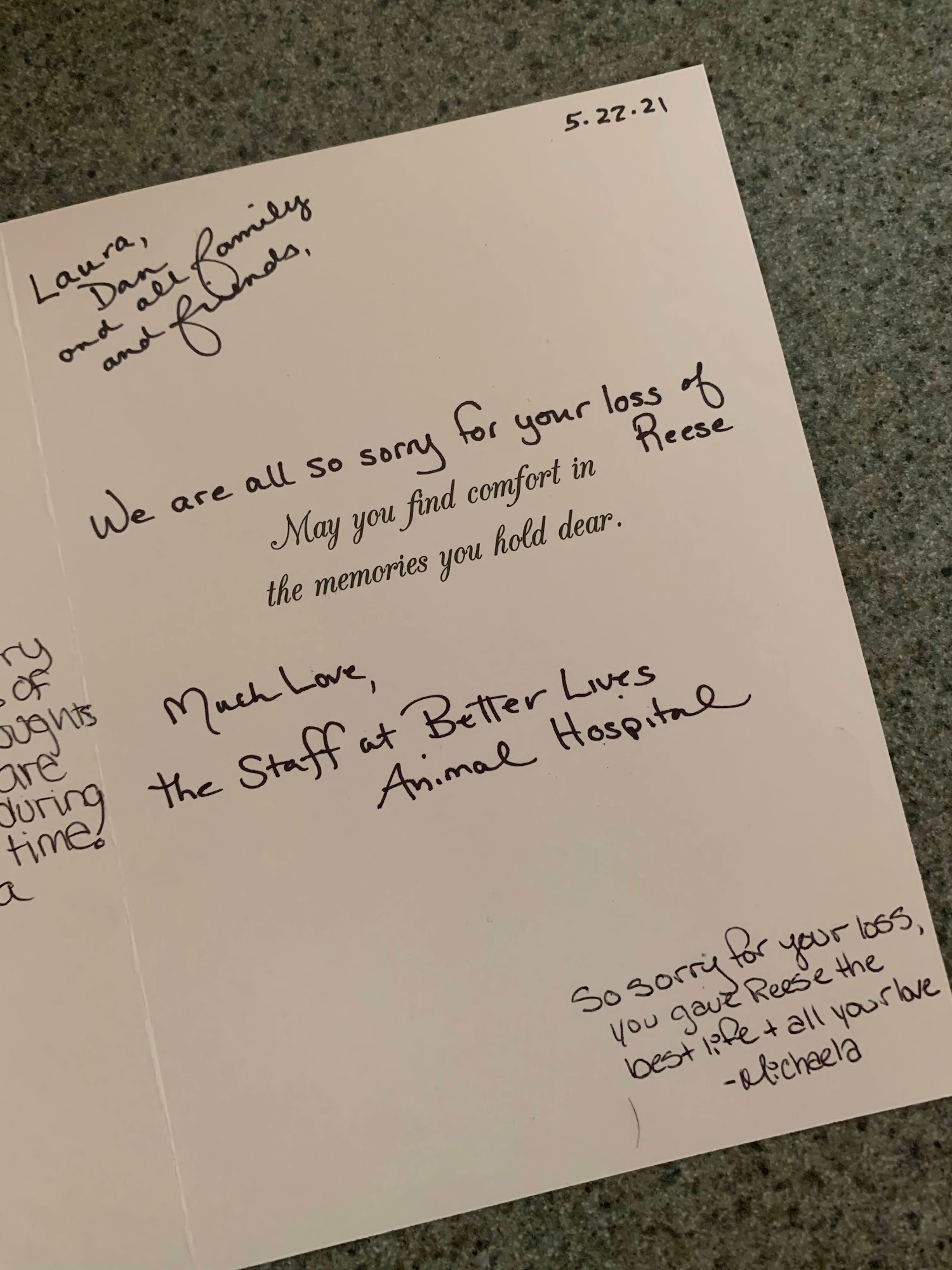 Better Lives Animal Hospital / Dr. Edward Decort Red Hook