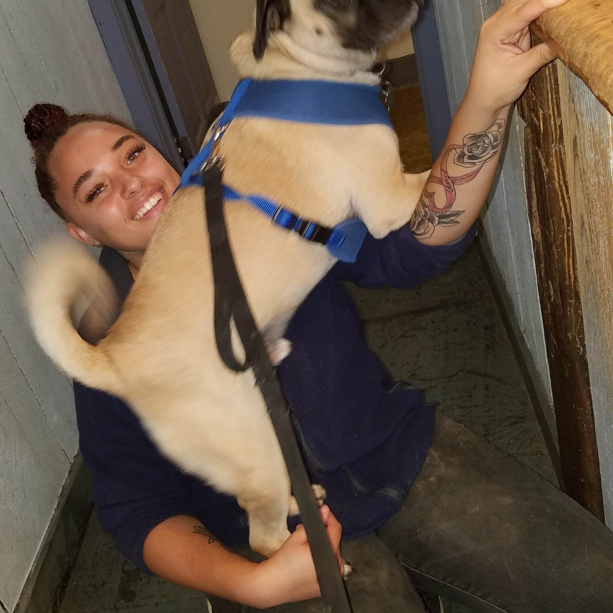 Aqueduct Animal Hospital Rexford