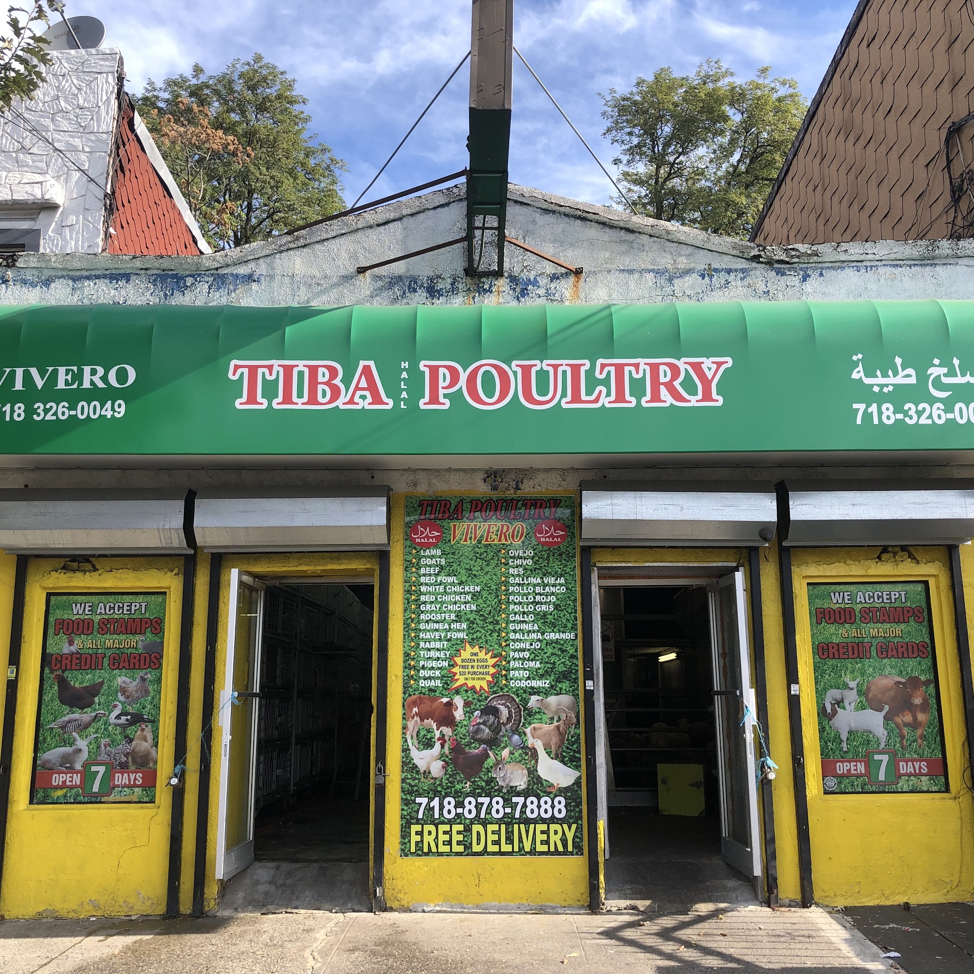 Tiba live poultry