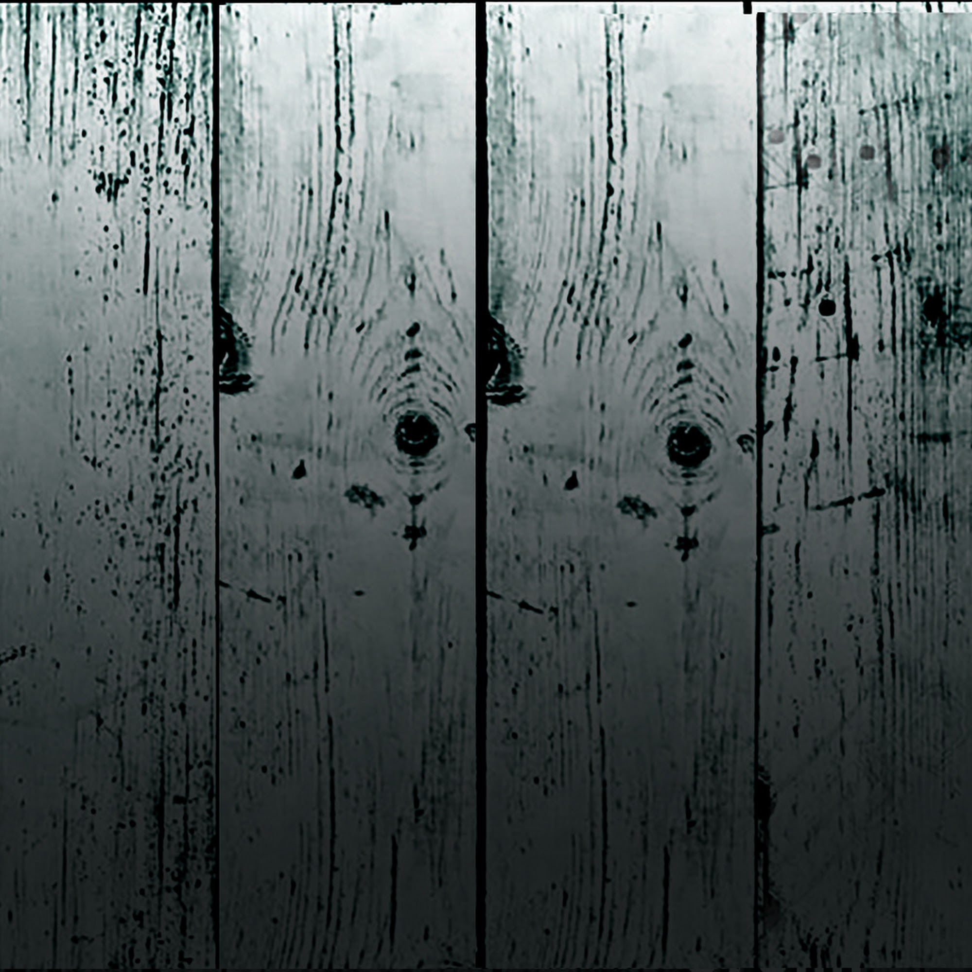 Twin Stills Moonshine Riverhead