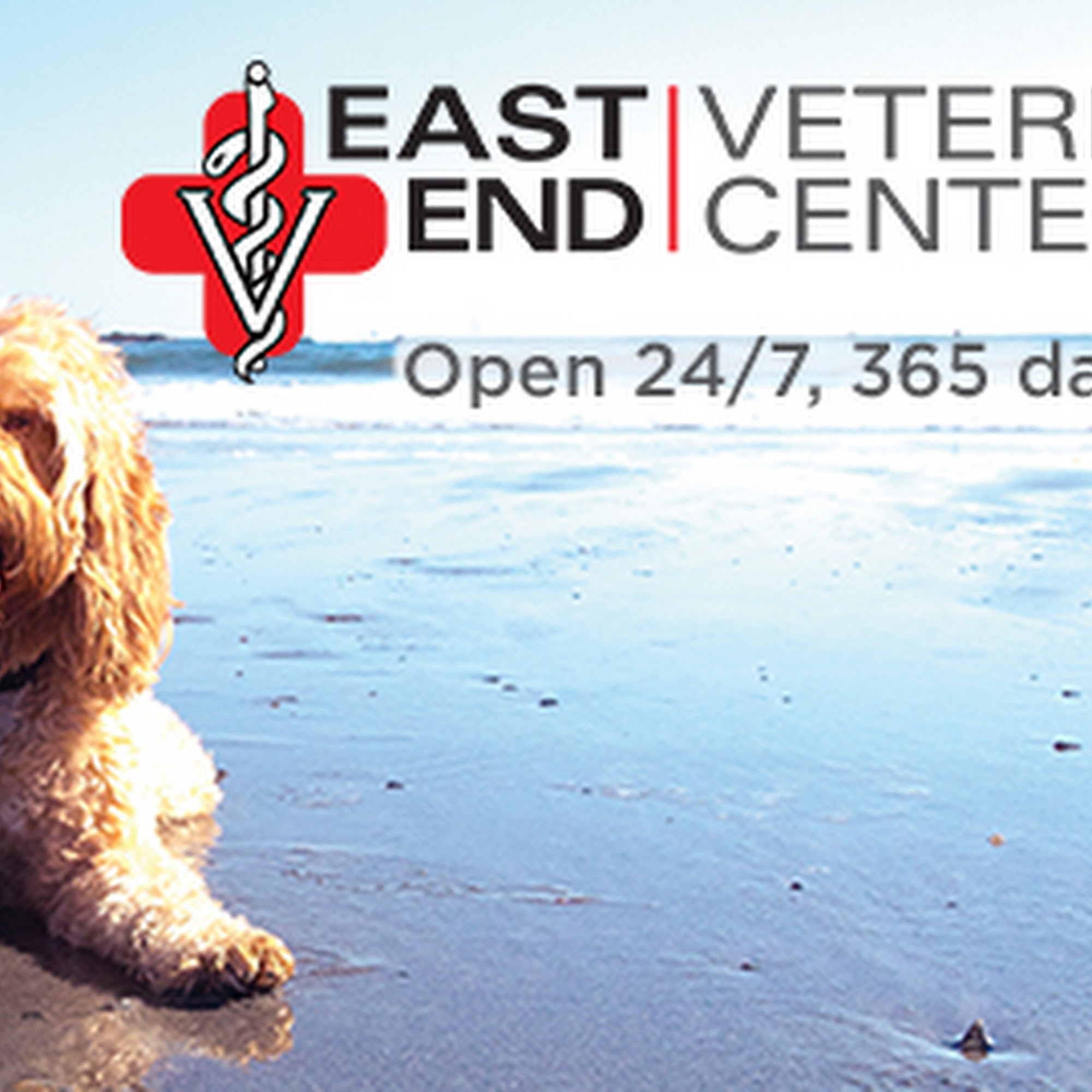 East End Veterinary Center Riverhead
